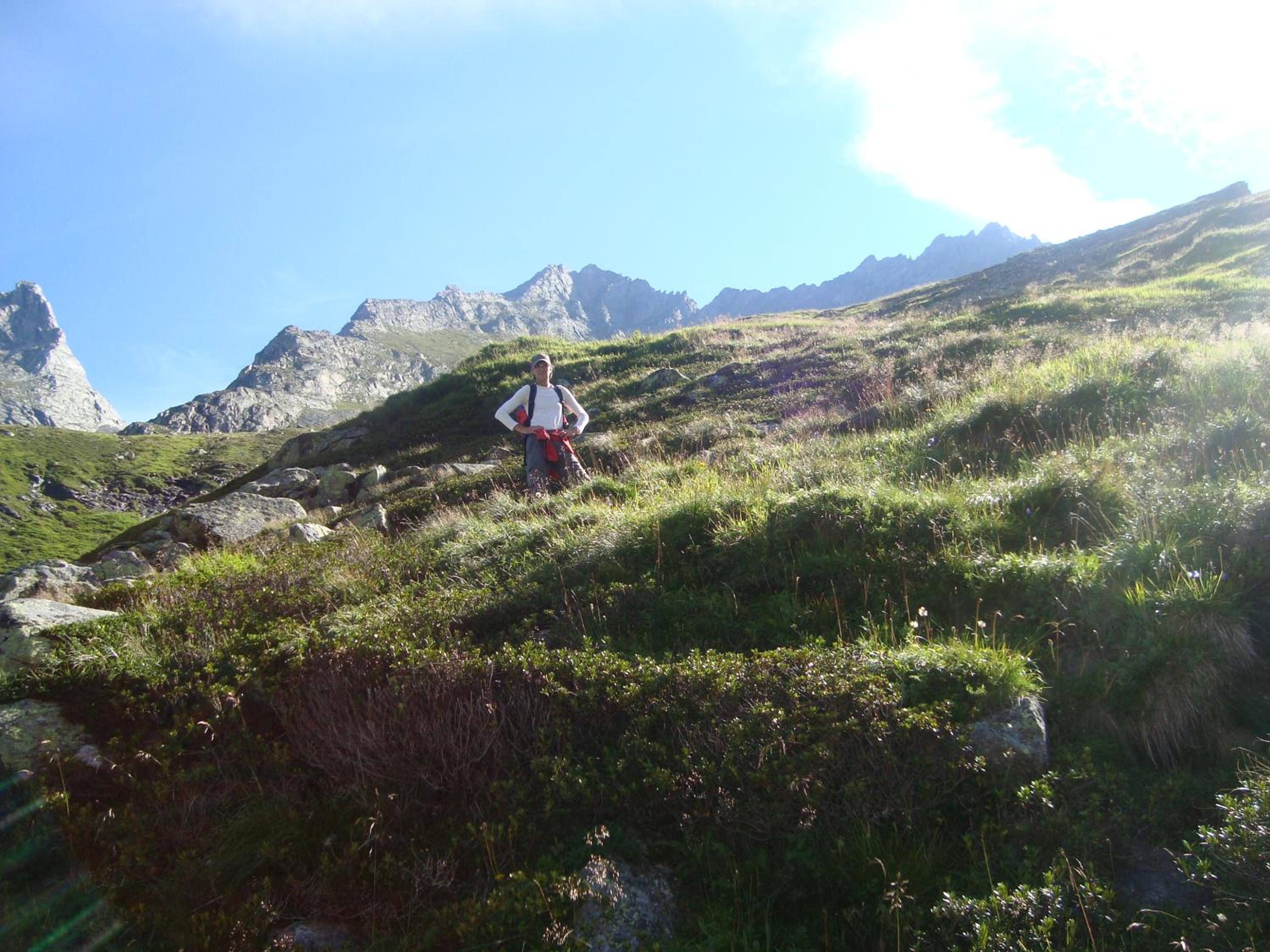 Photo 41