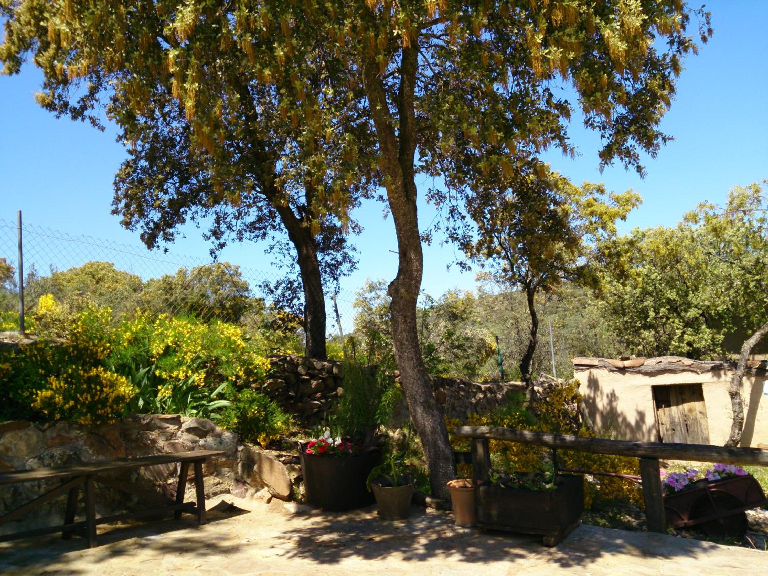 Valdolázaro