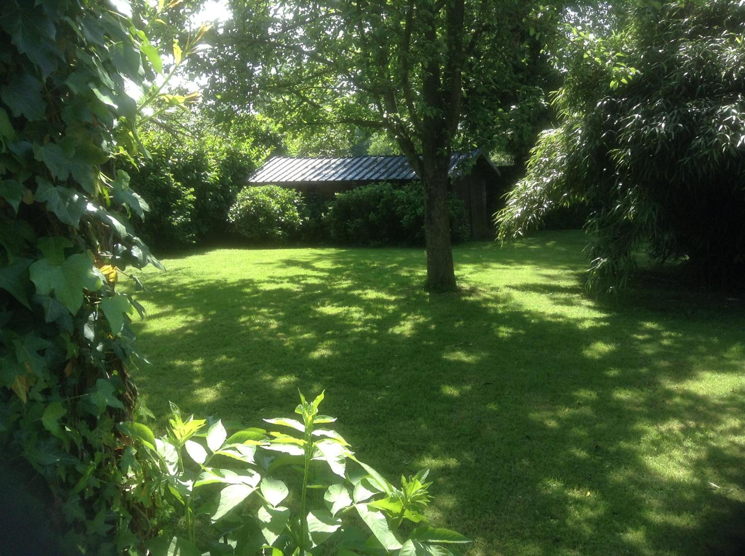 Photo 29