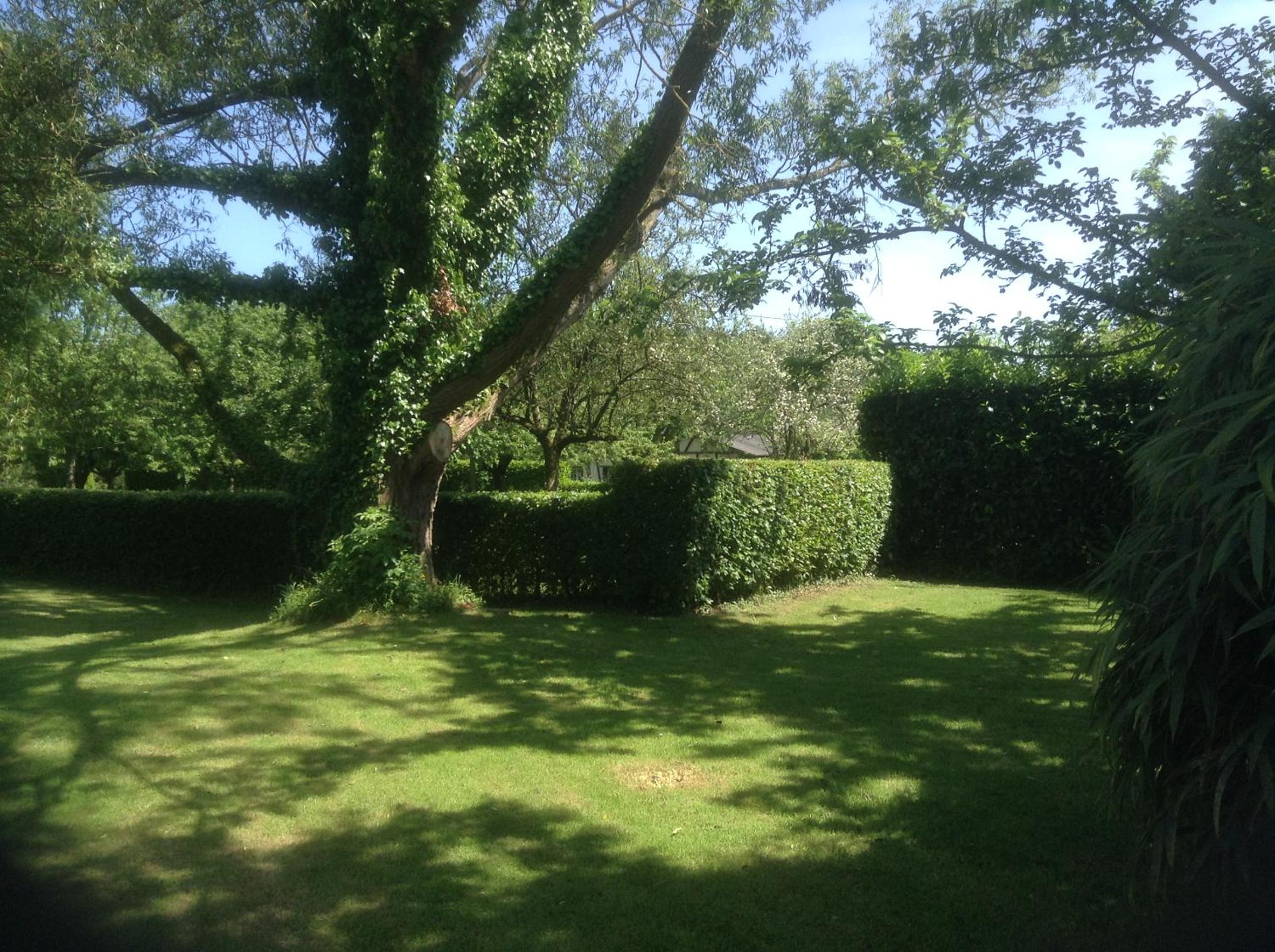 Photo 32