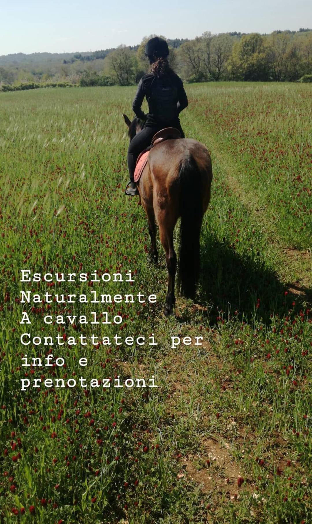 Agriturismo Supramurgia
