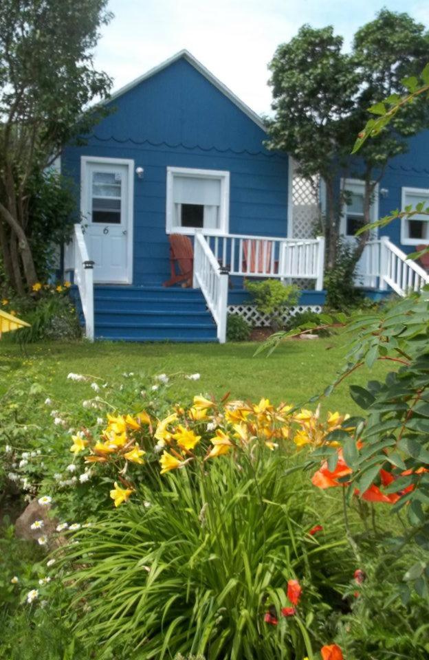 Photo 19