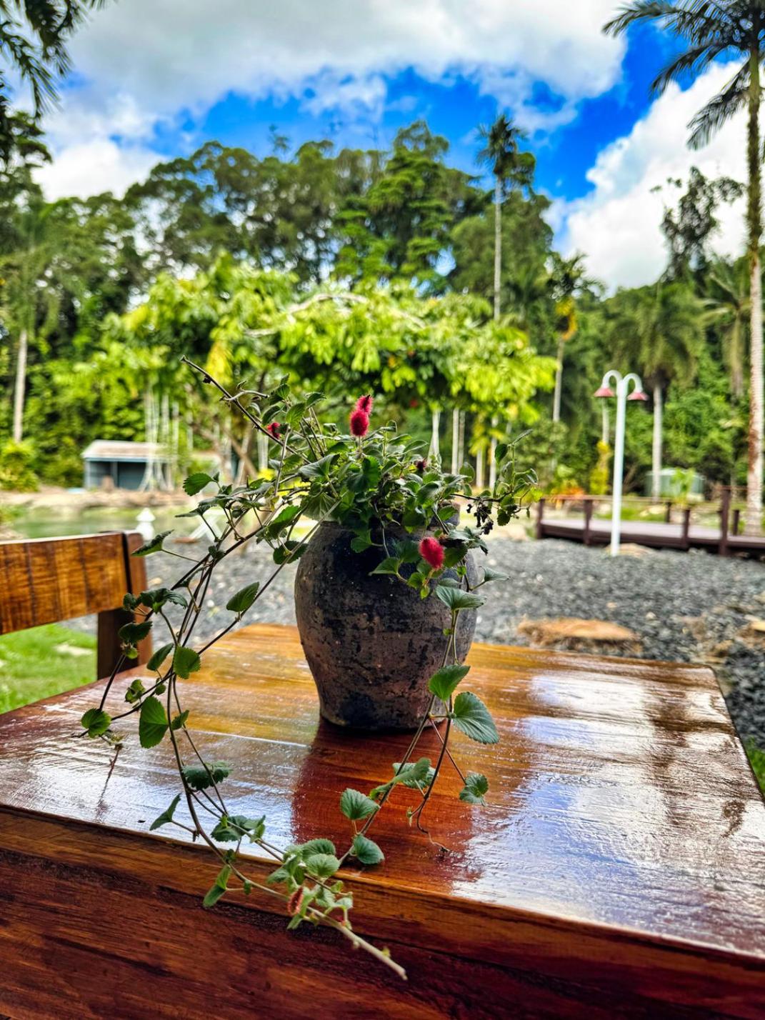 Ahana Hillside - Scenic Stay Near Cairns