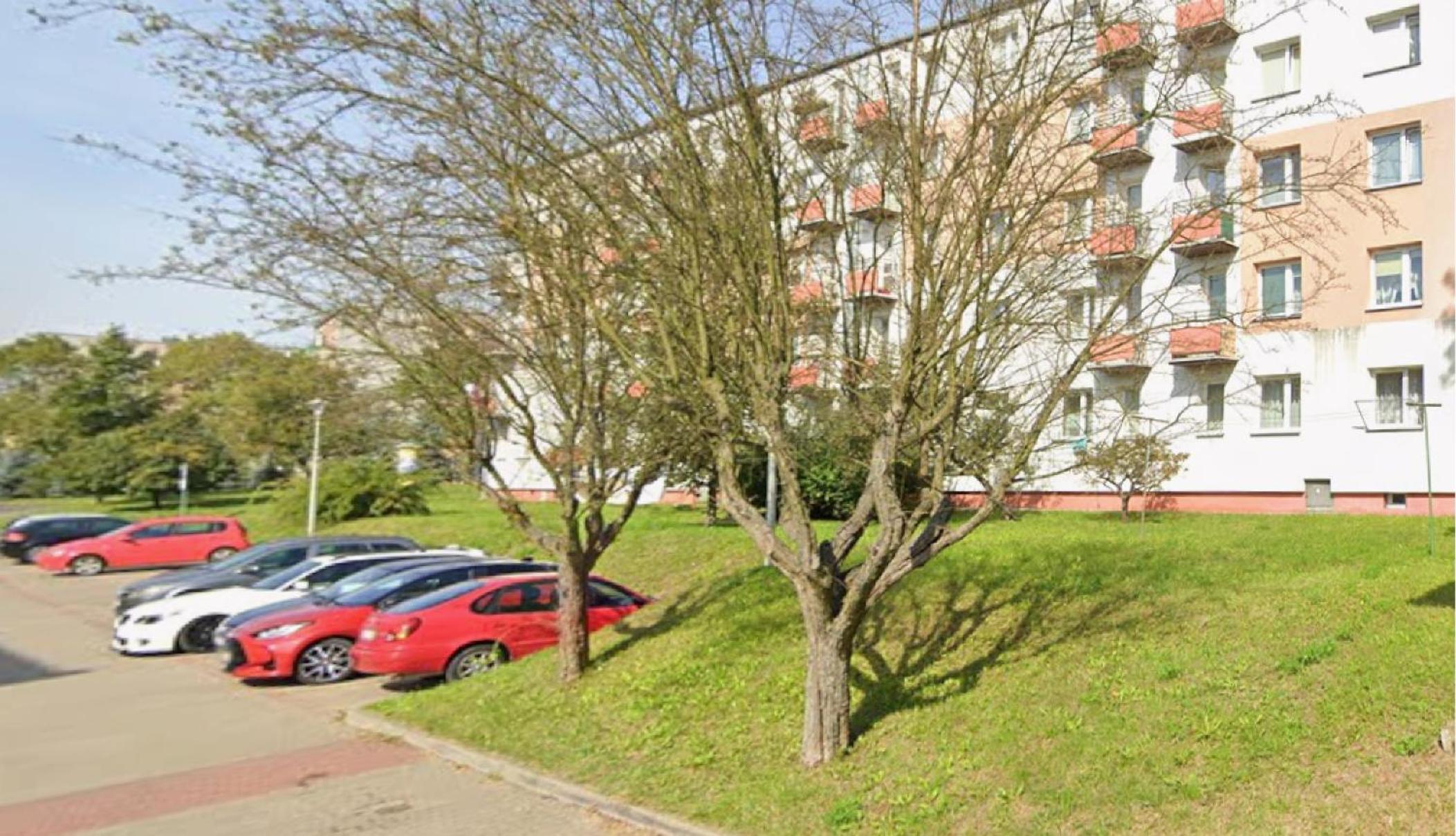 Alma Apartments Starachowice, photo 14