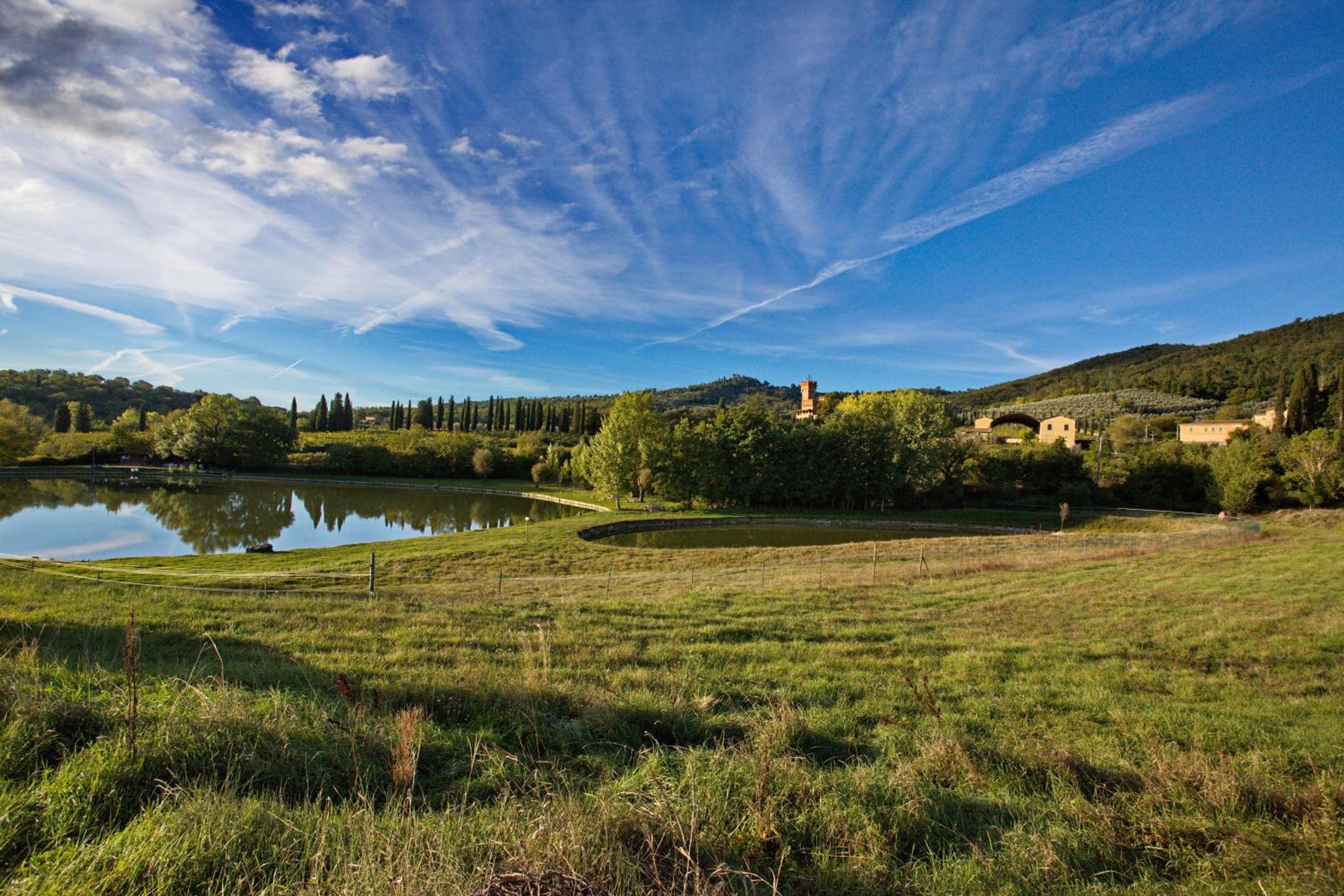Tenuta Lupinari