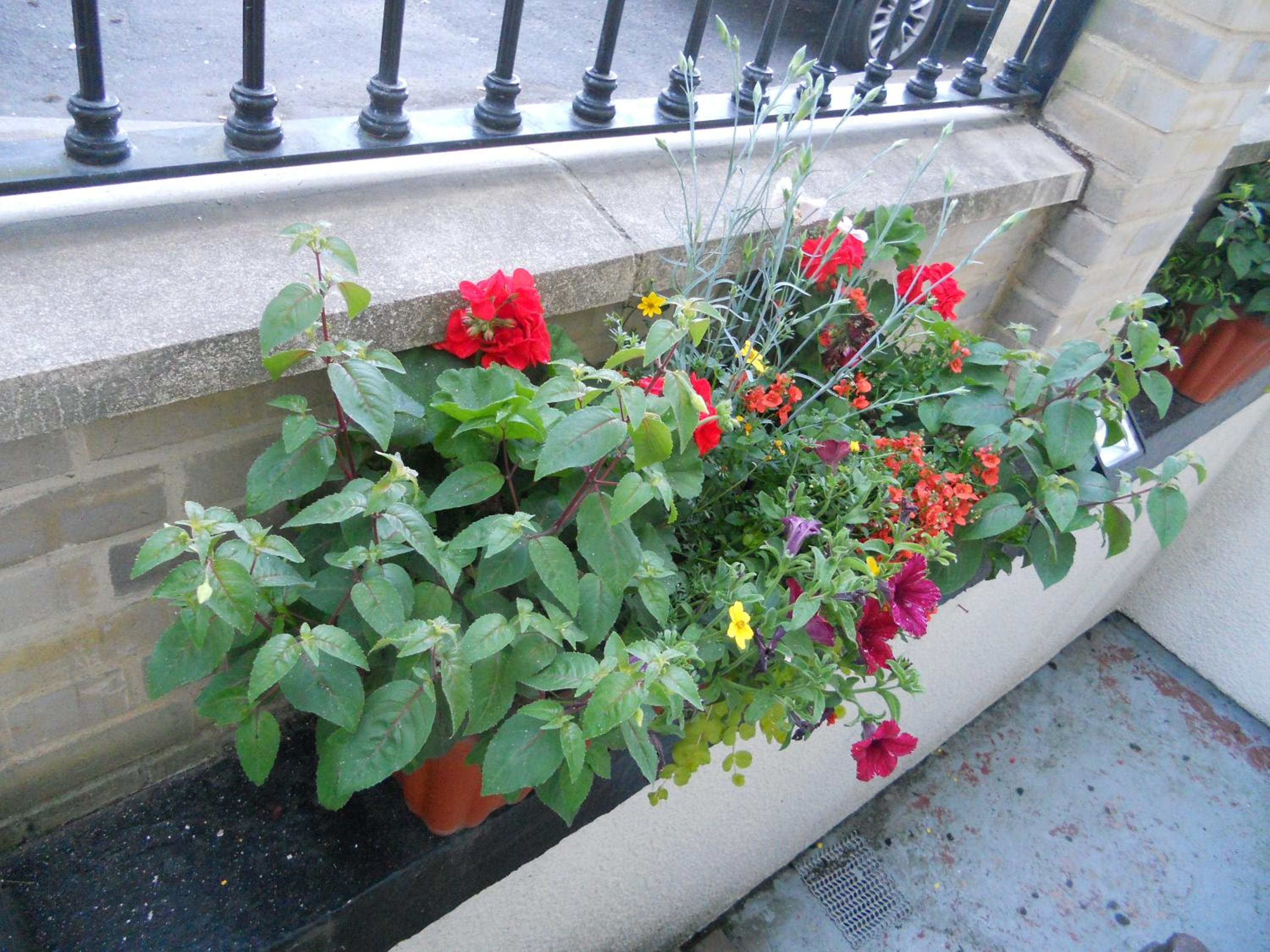 All Seasons Guest House