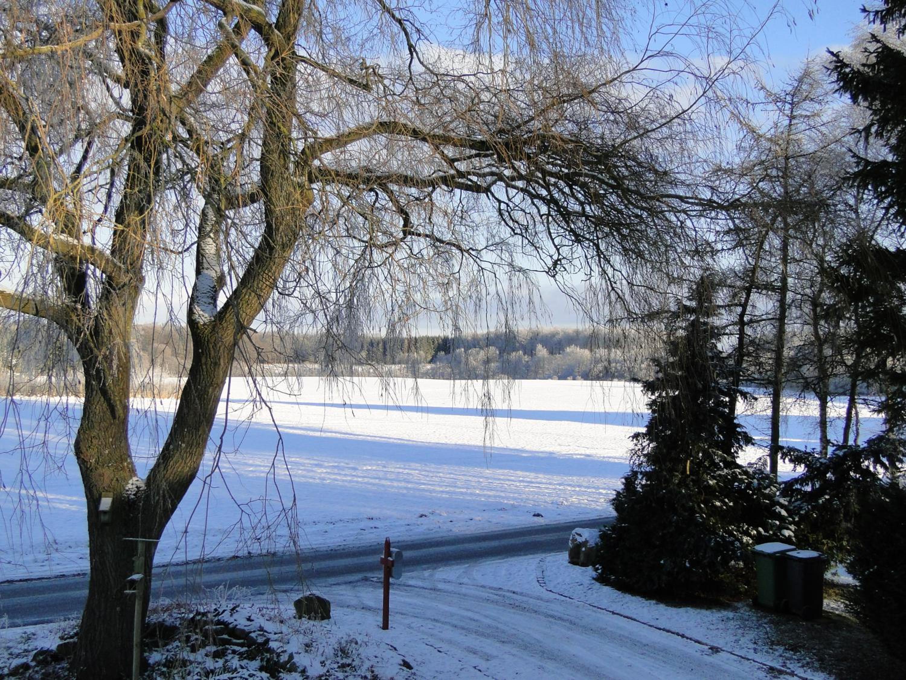 Dyssegaard B&B