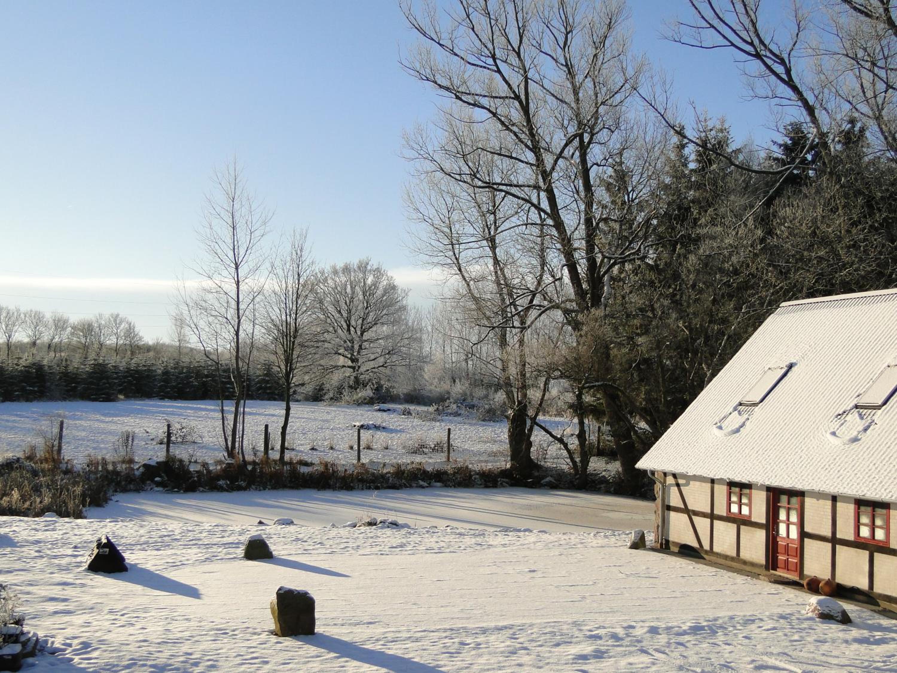 Dyssegaard B&B