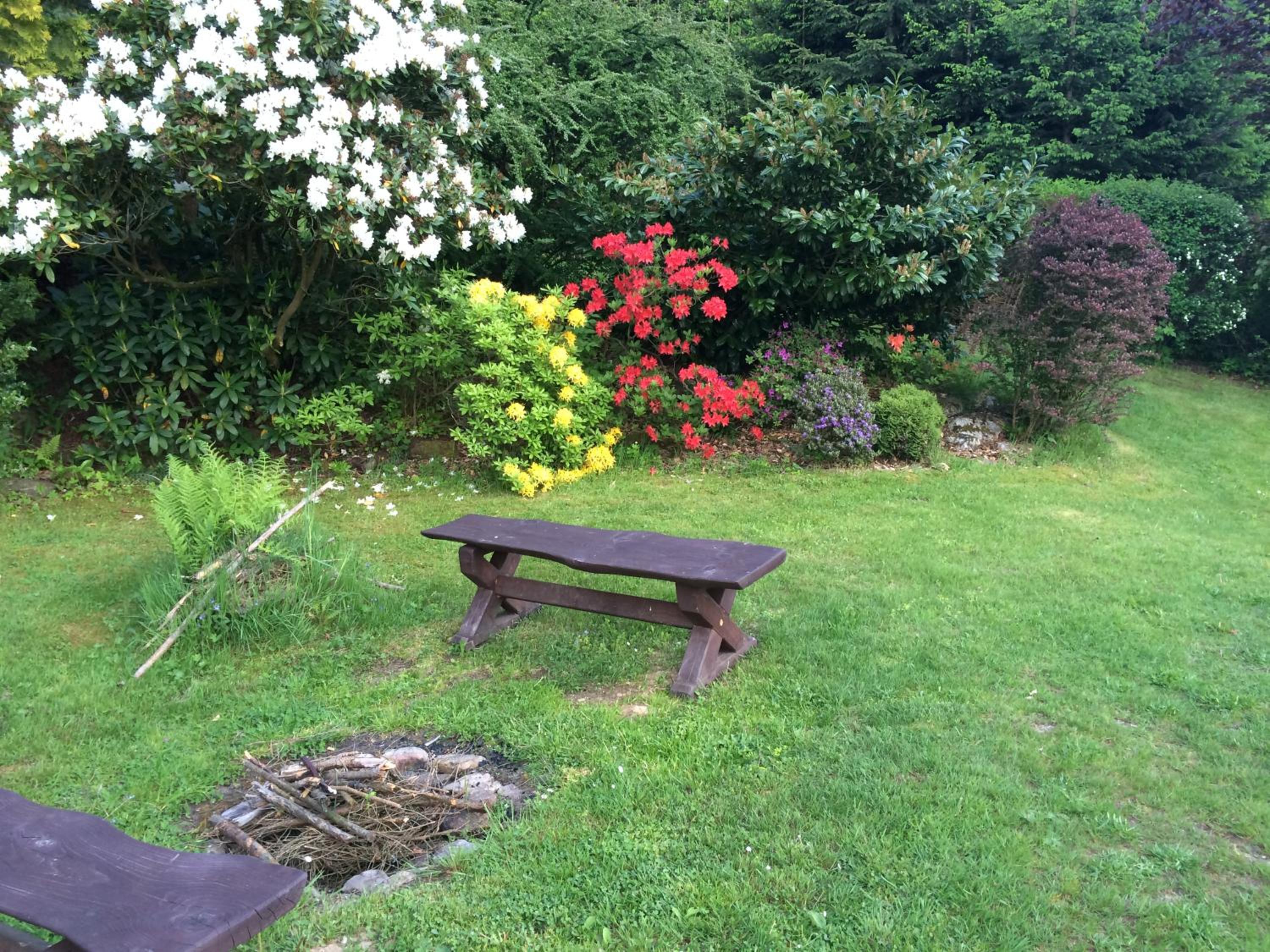 Photo 35