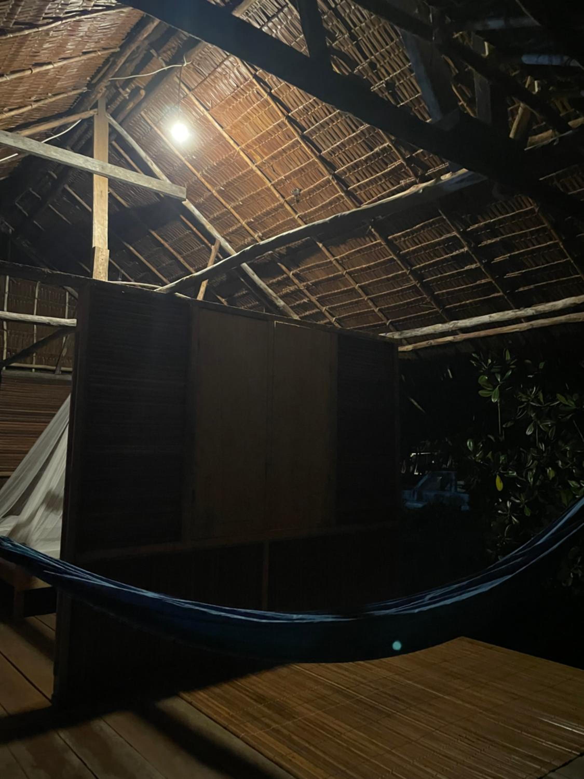 Walking Shark Guest House
