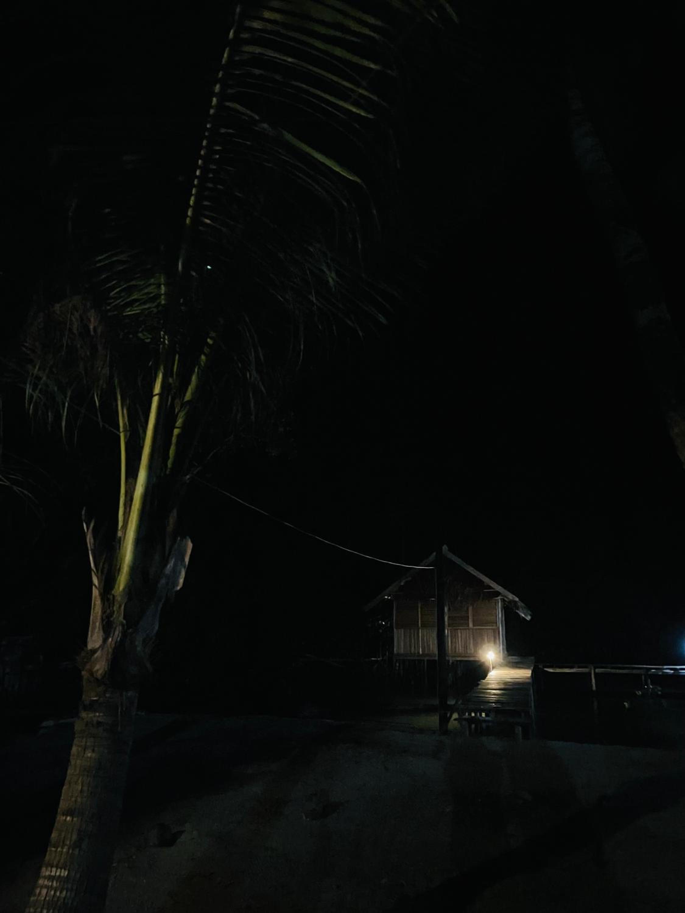 Walking Shark Guest House