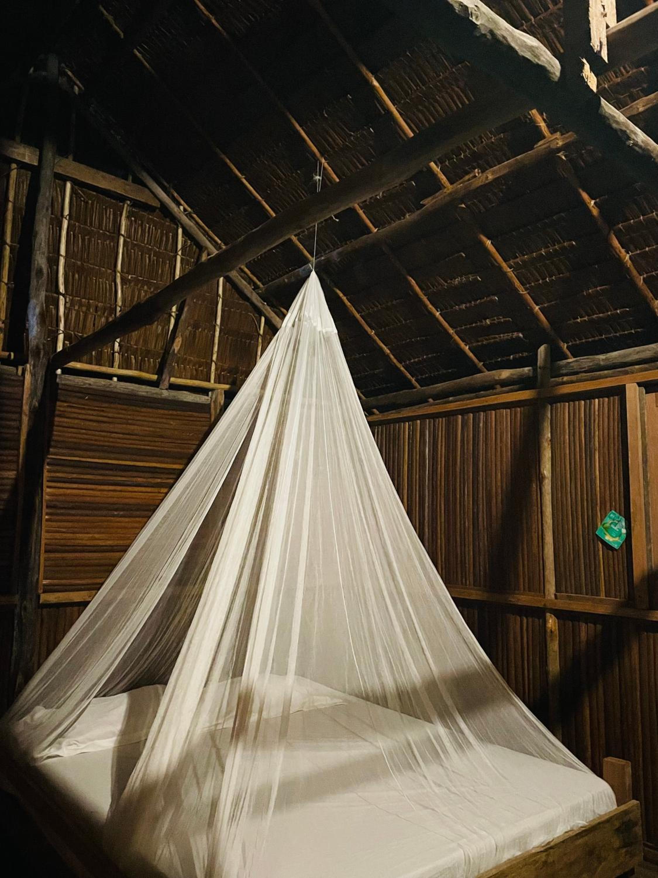 Walking Shark Guest House