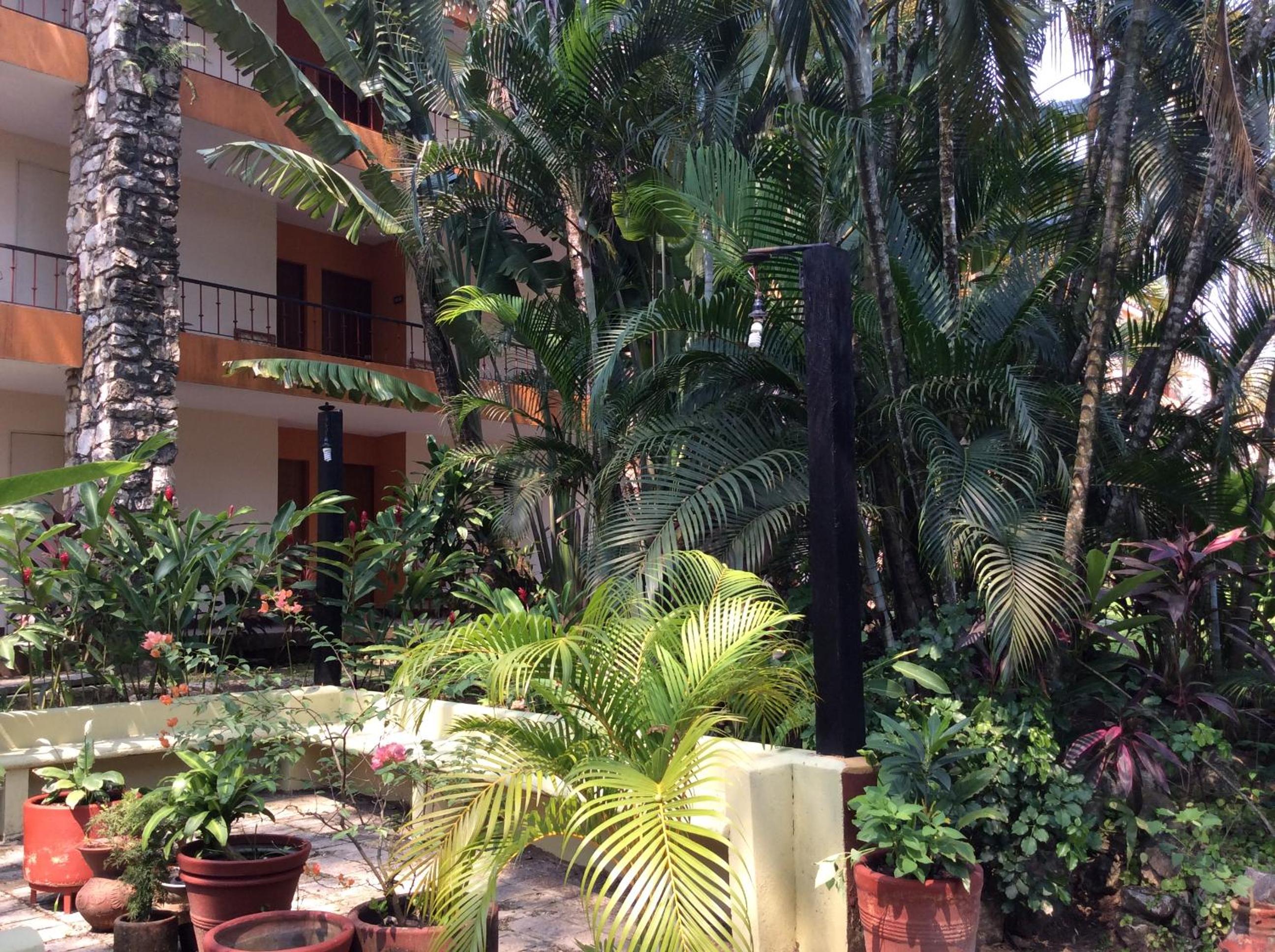 Palenque Vacations - Hotel Plaza Palenque - Property Image 6