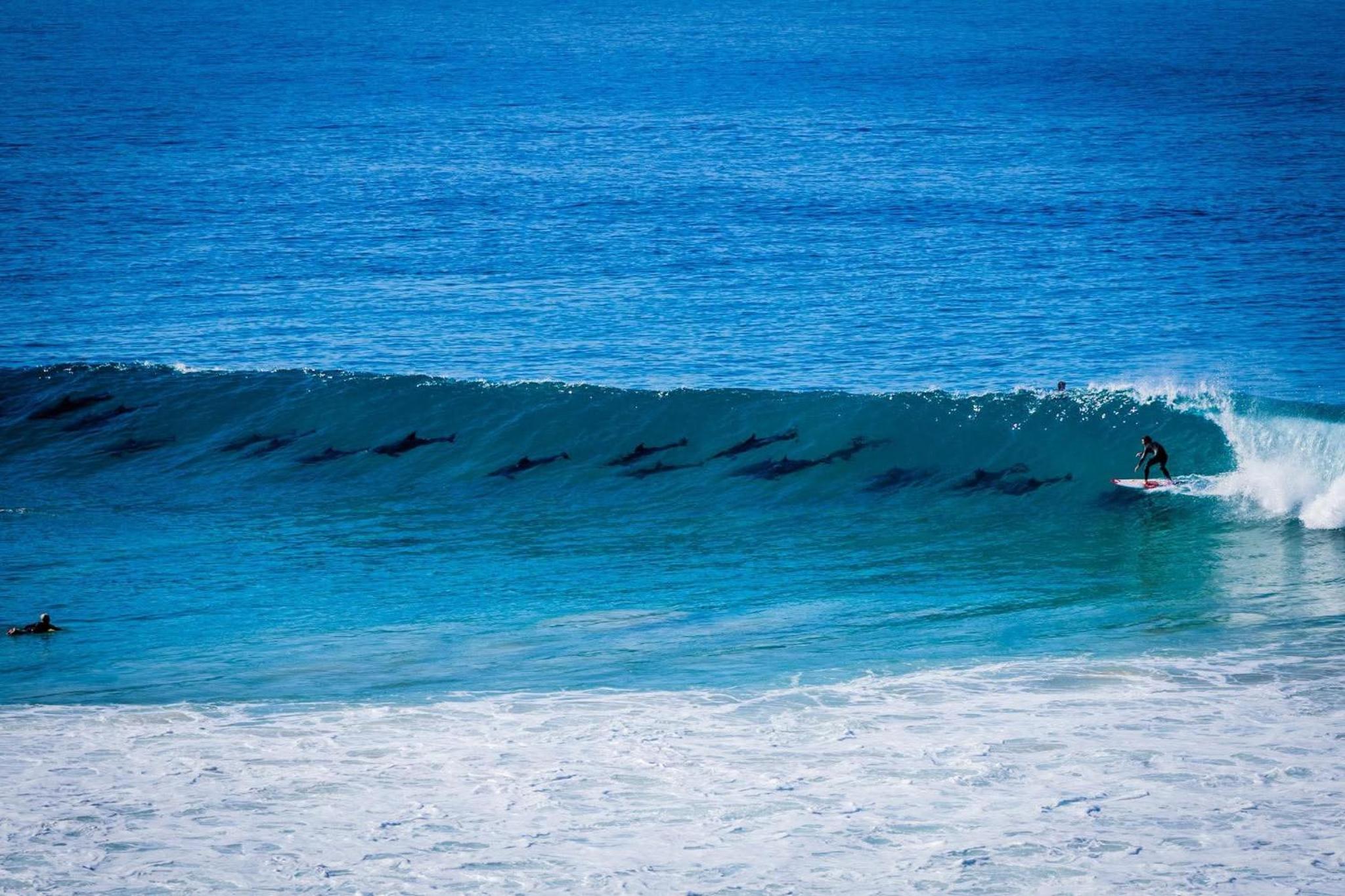 Surf Point Ride