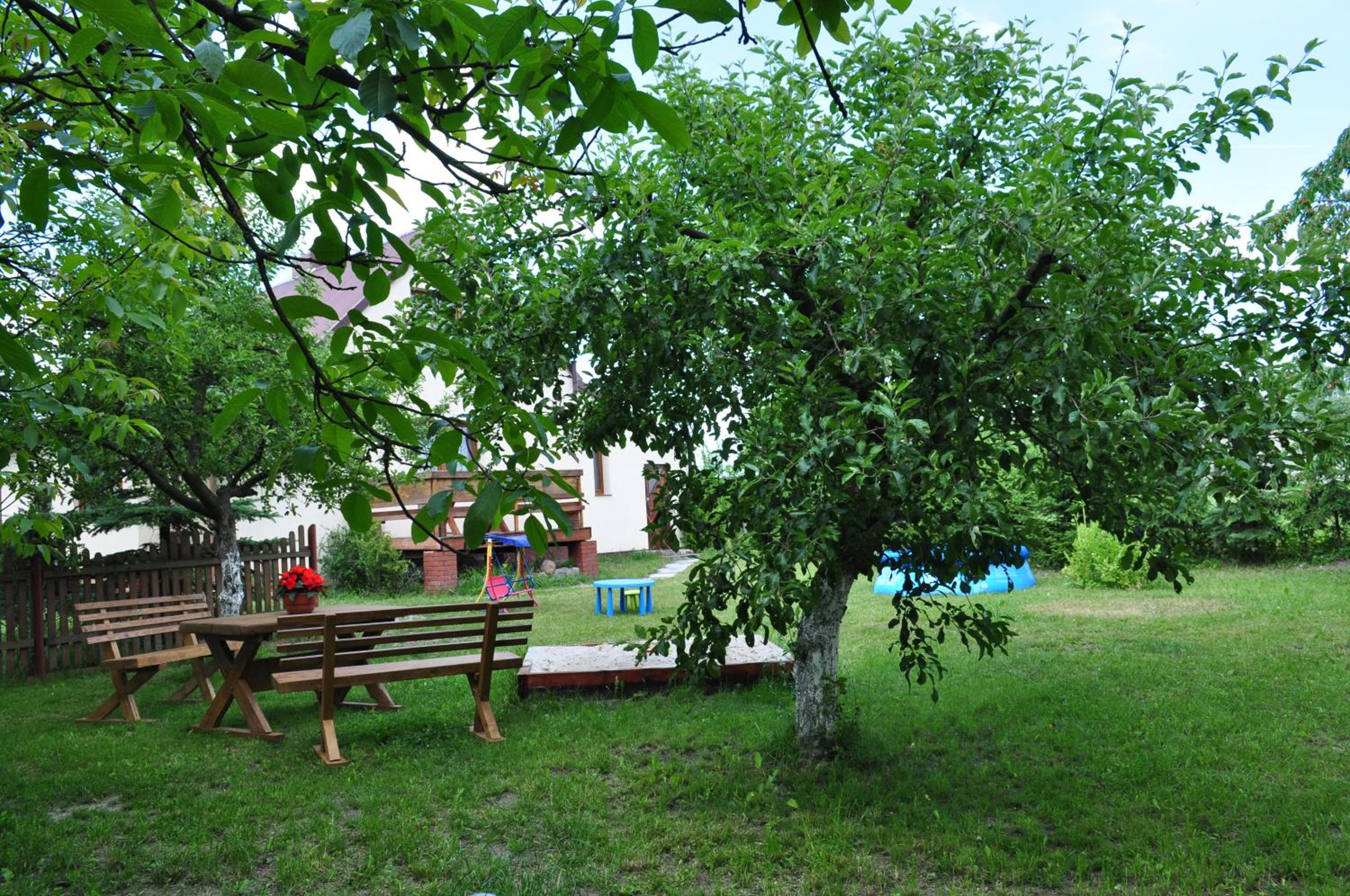 Photo 24