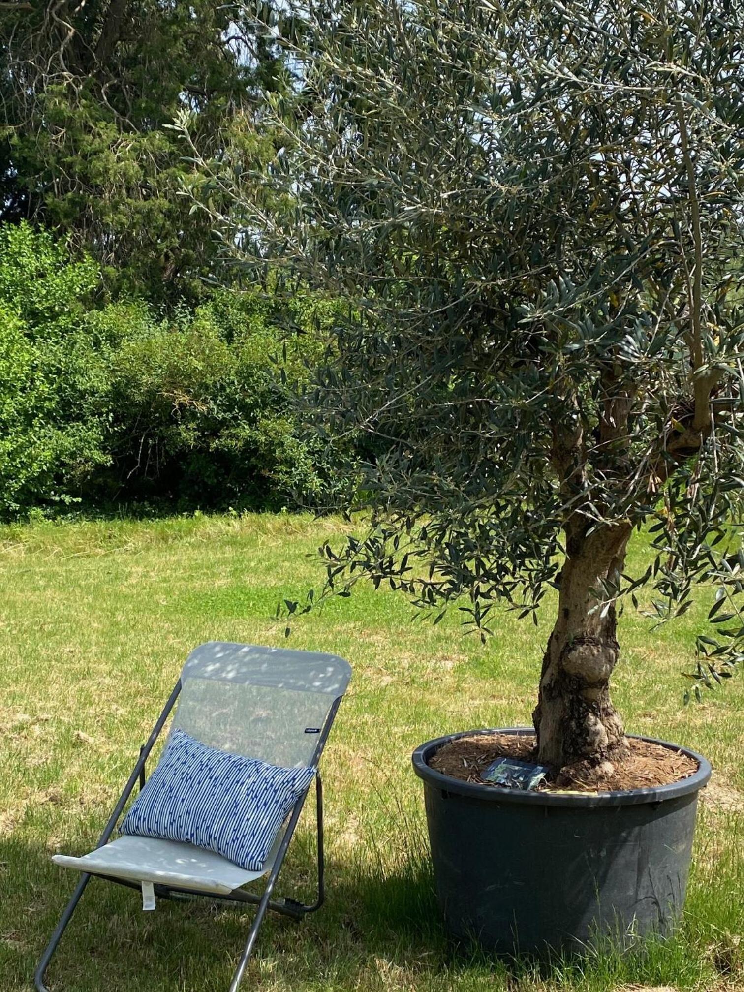 Le Clos 1003