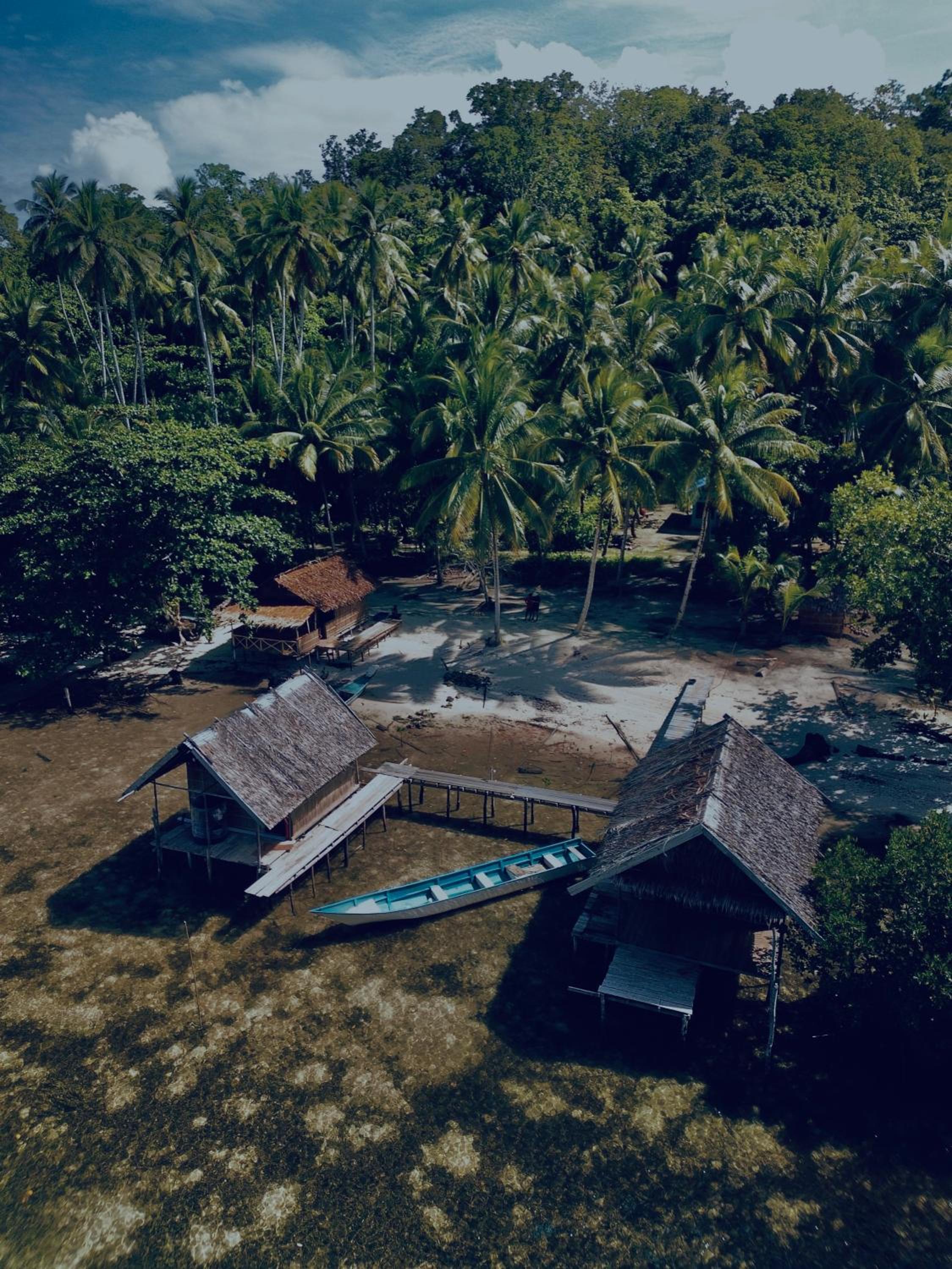 Walking Shark Guest House
