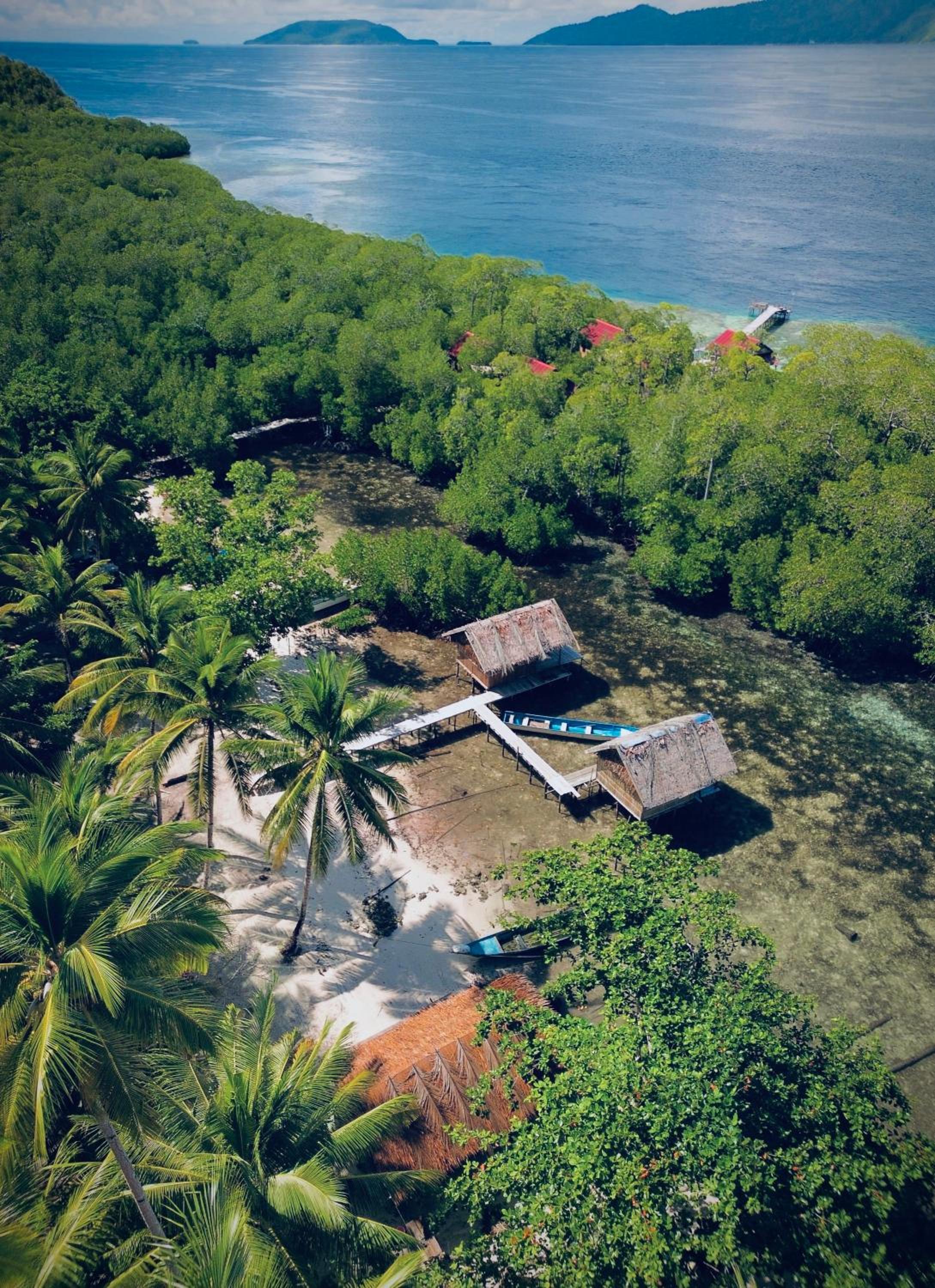 Walking Shark Guest House