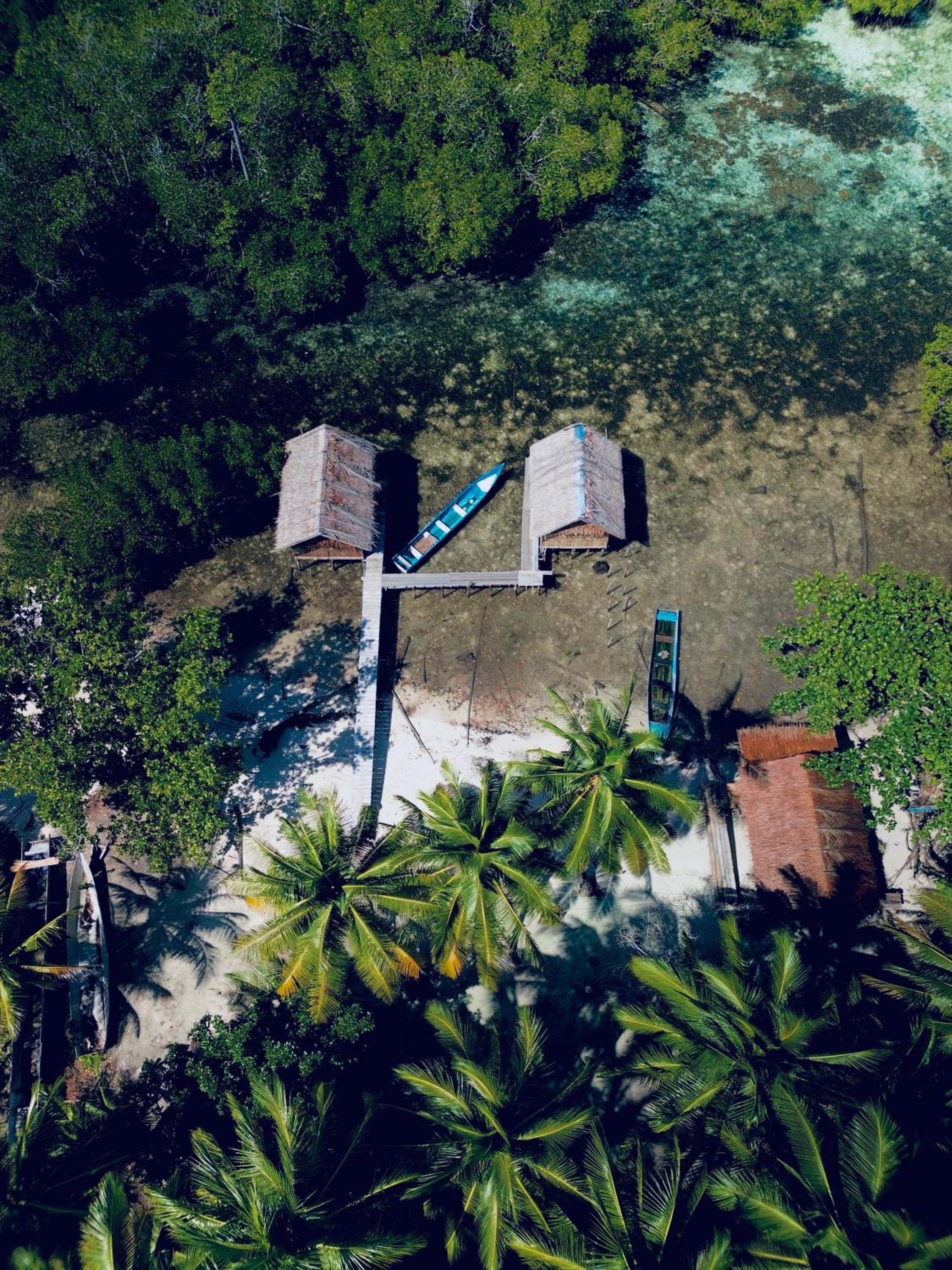 Walking Shark Guest House