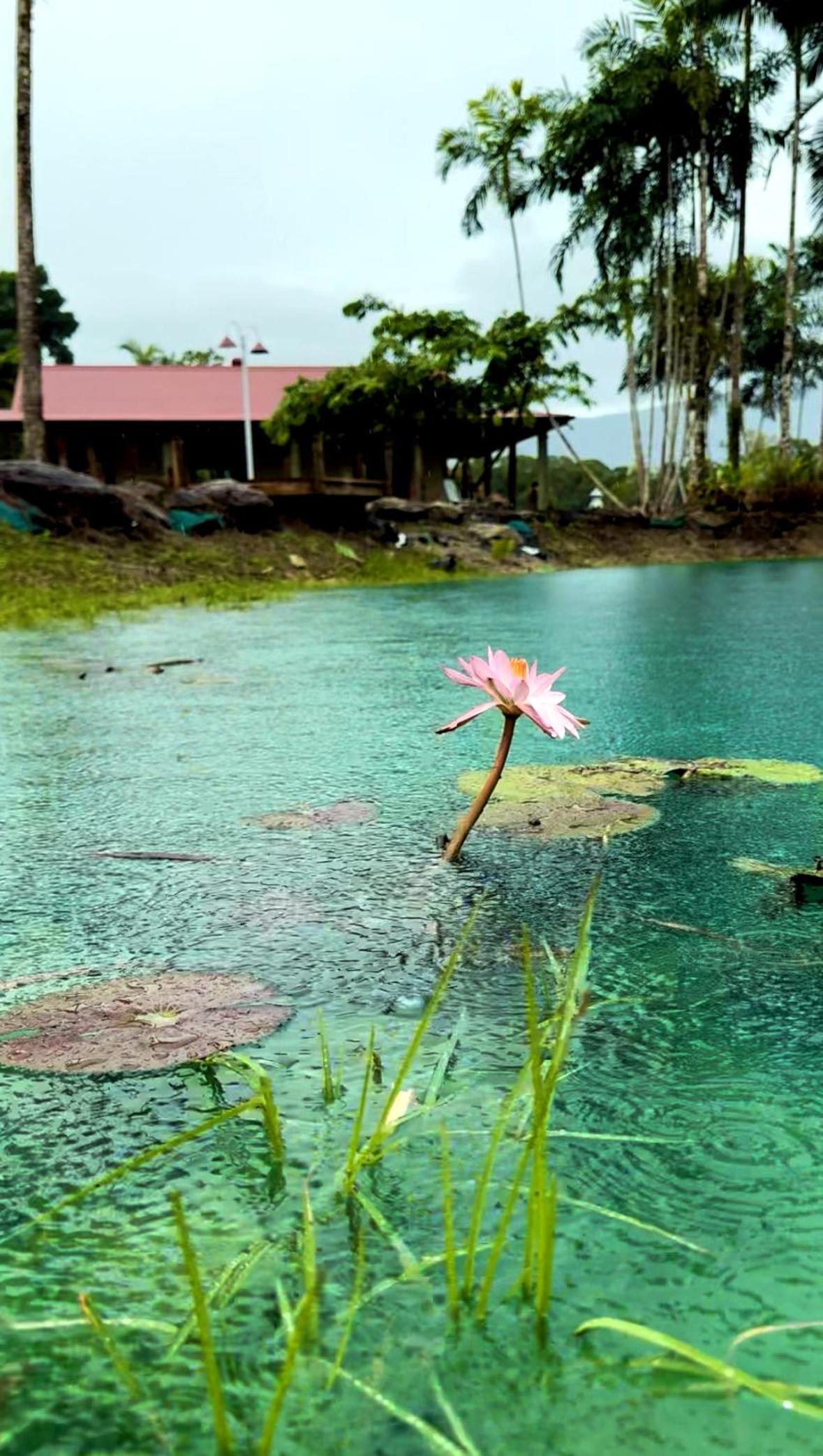 Ahana Hillside - Scenic Stay Near Cairns