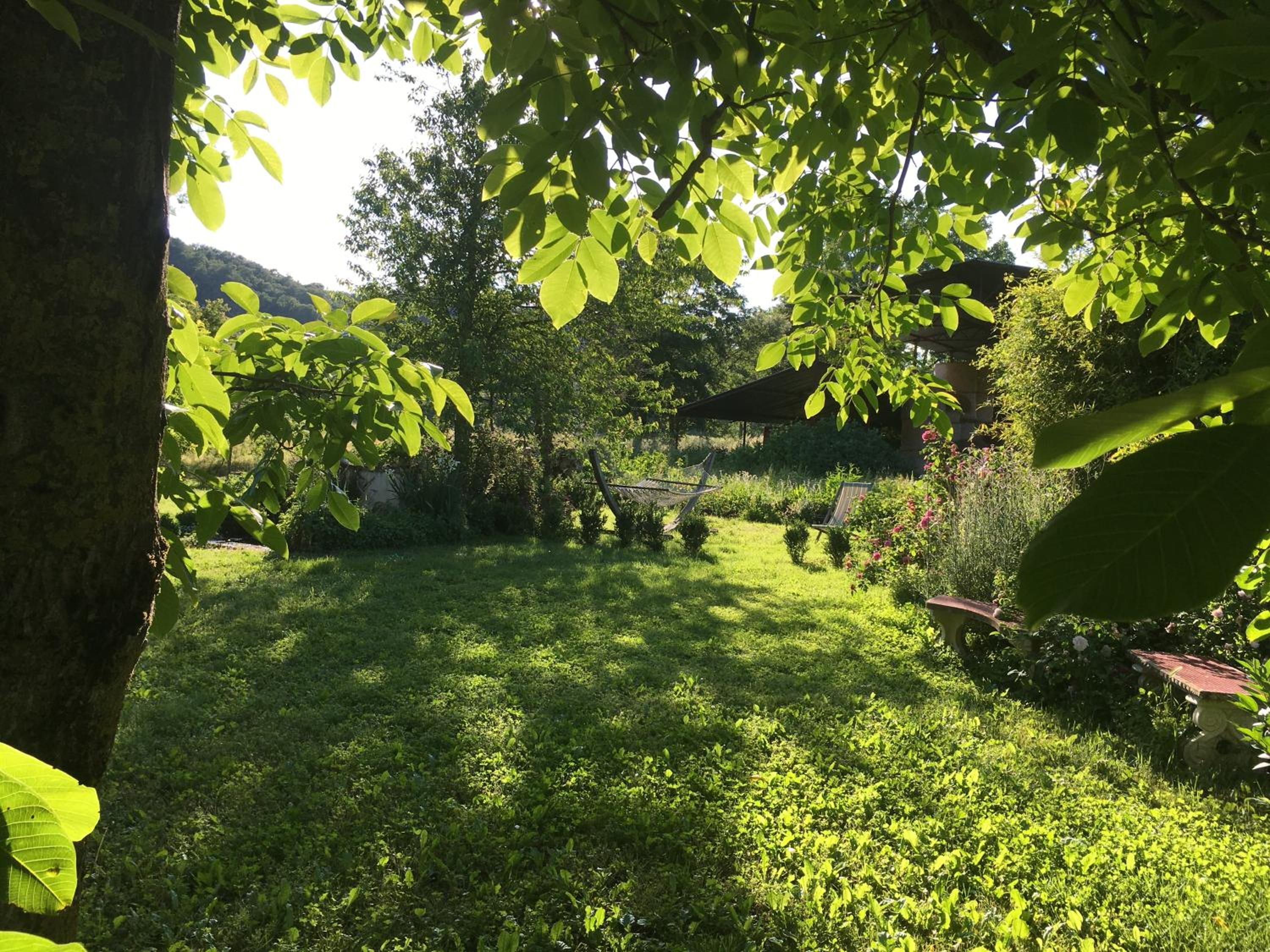 Photo 33