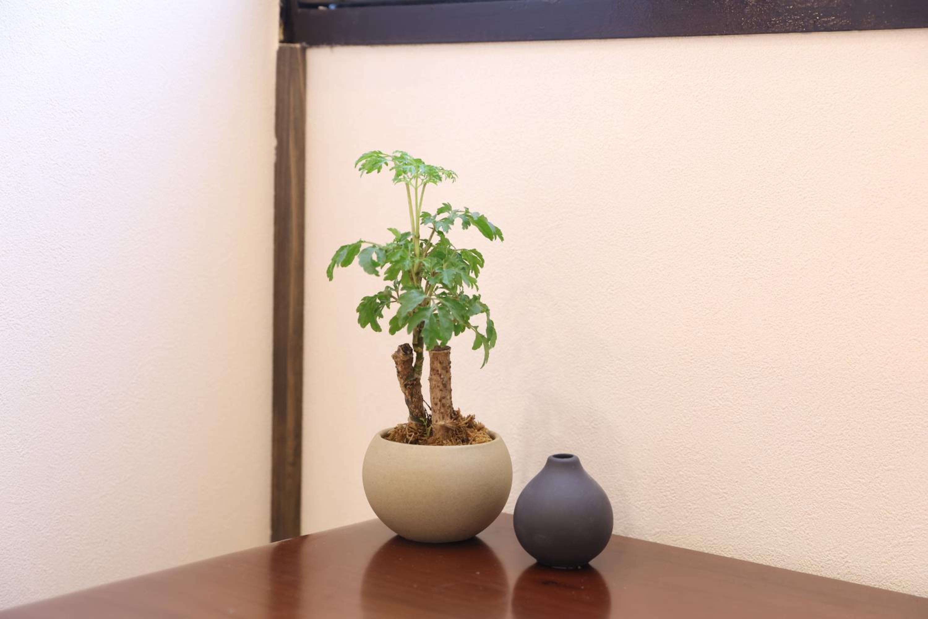 OYASUMI Art & HOTEL Dotonbori 道顿堀