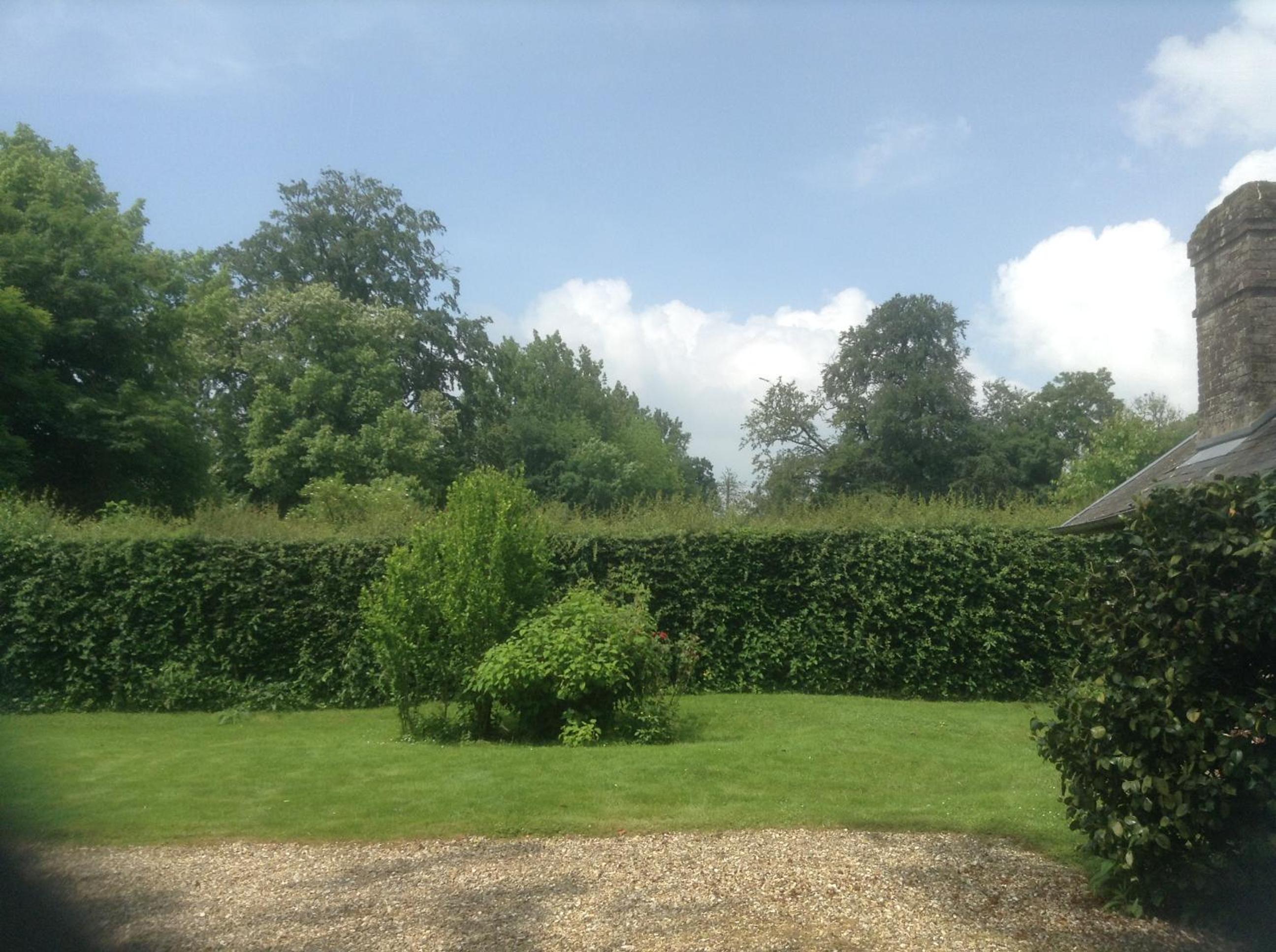 Photo 17