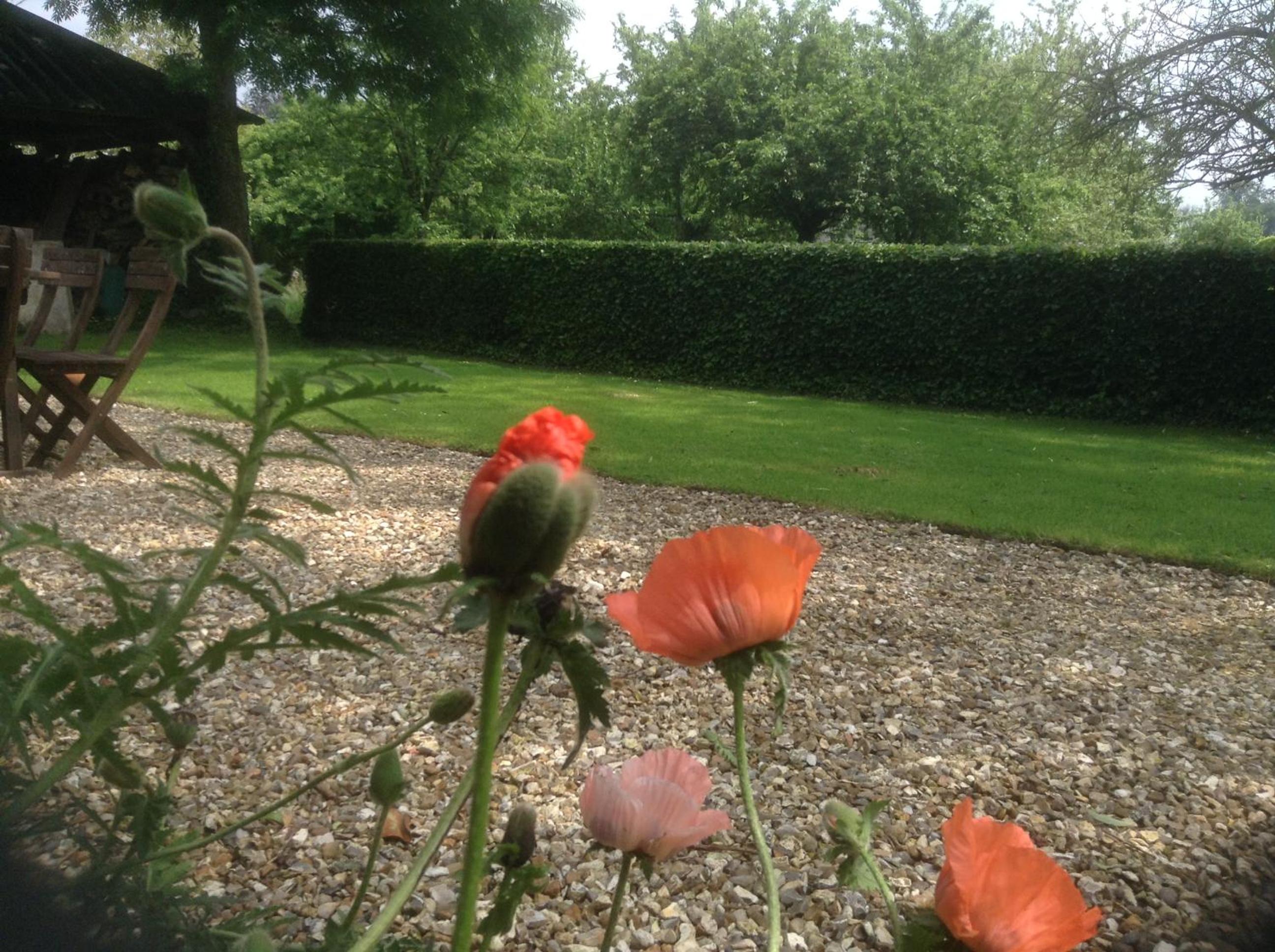 Photo 21