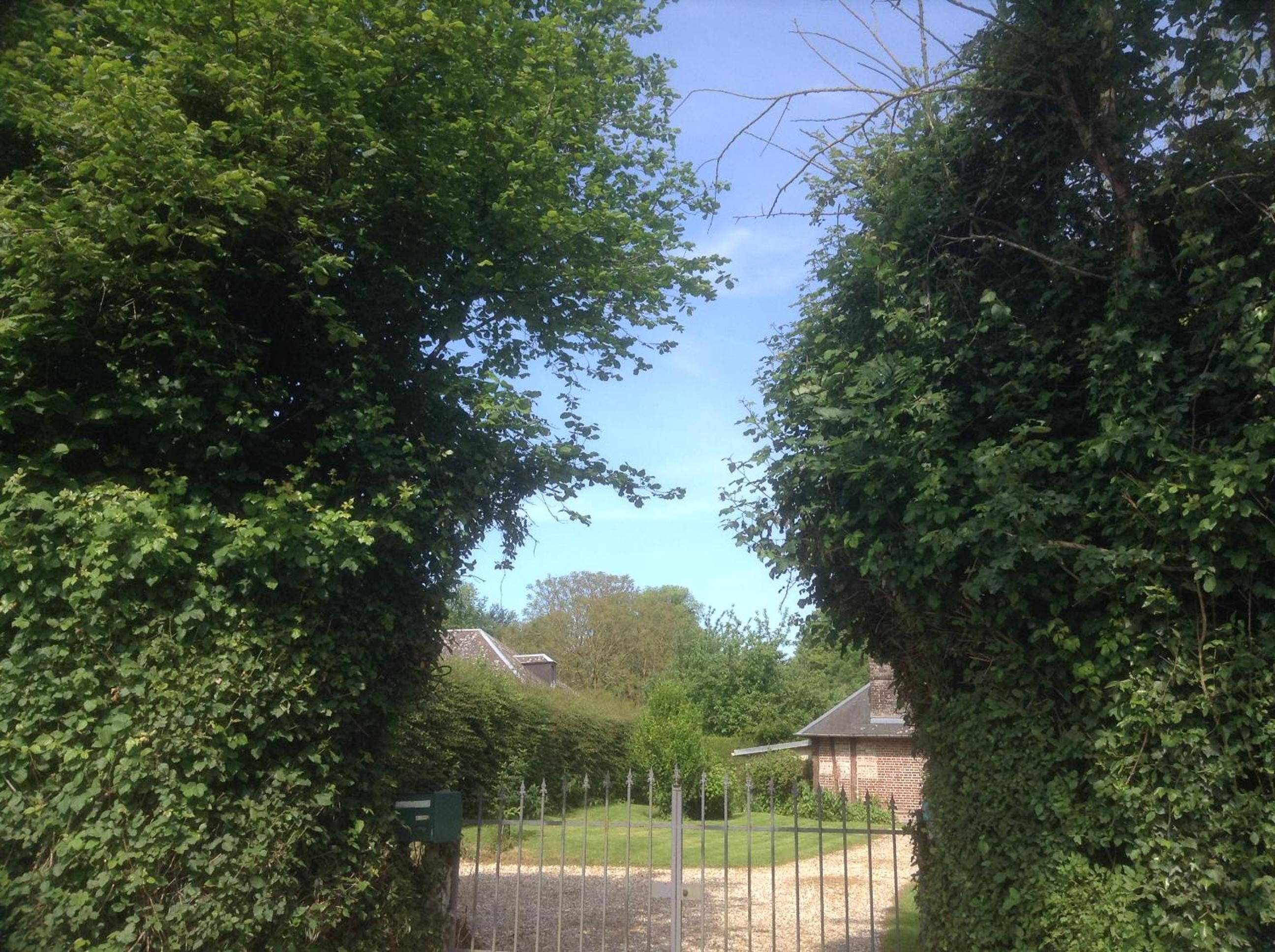 Photo 23