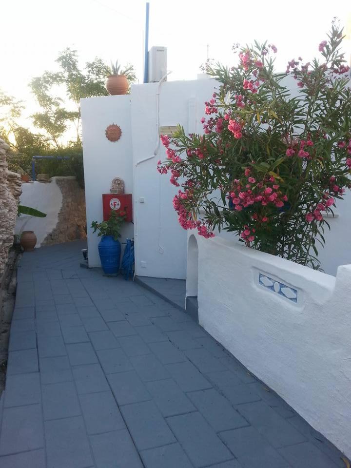 Photo 25