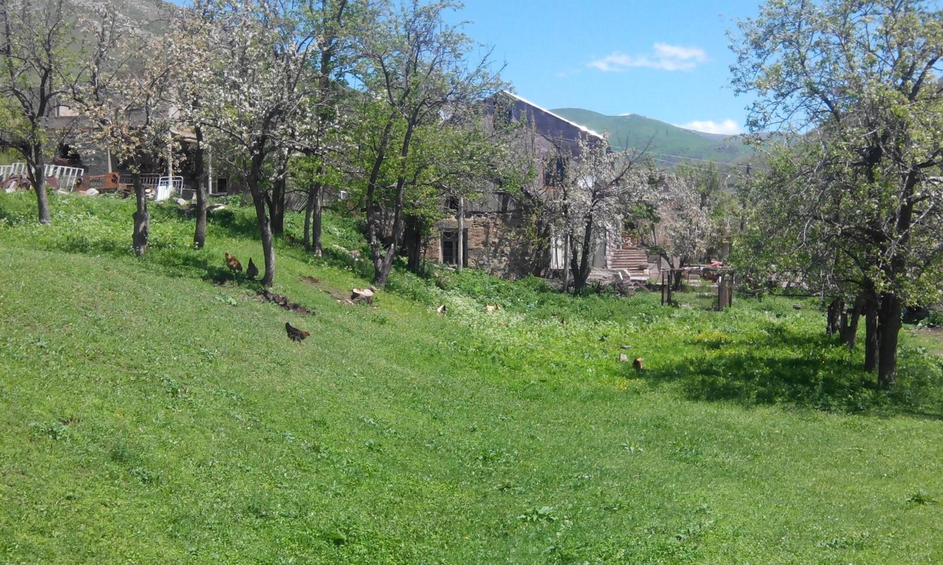 Eco Guest House Meghradzor