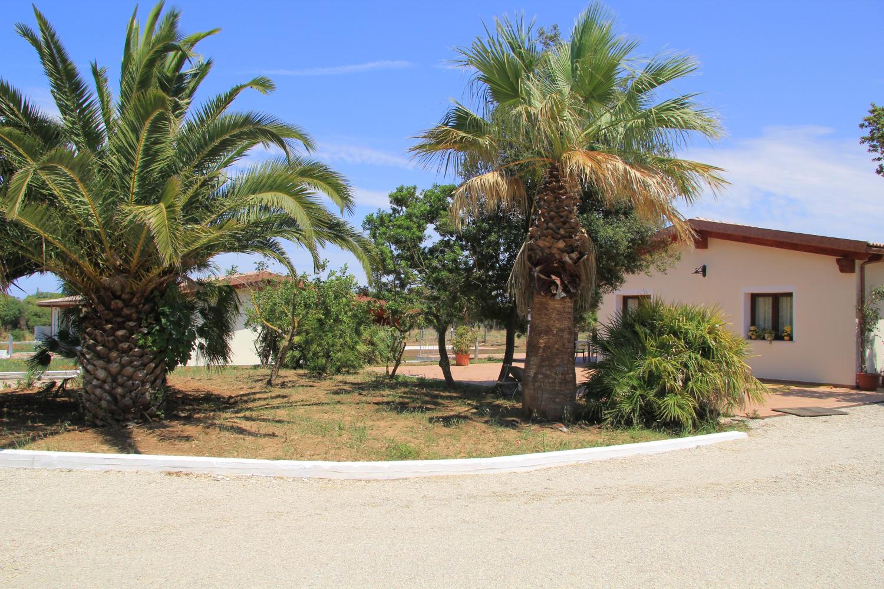 Agliadò