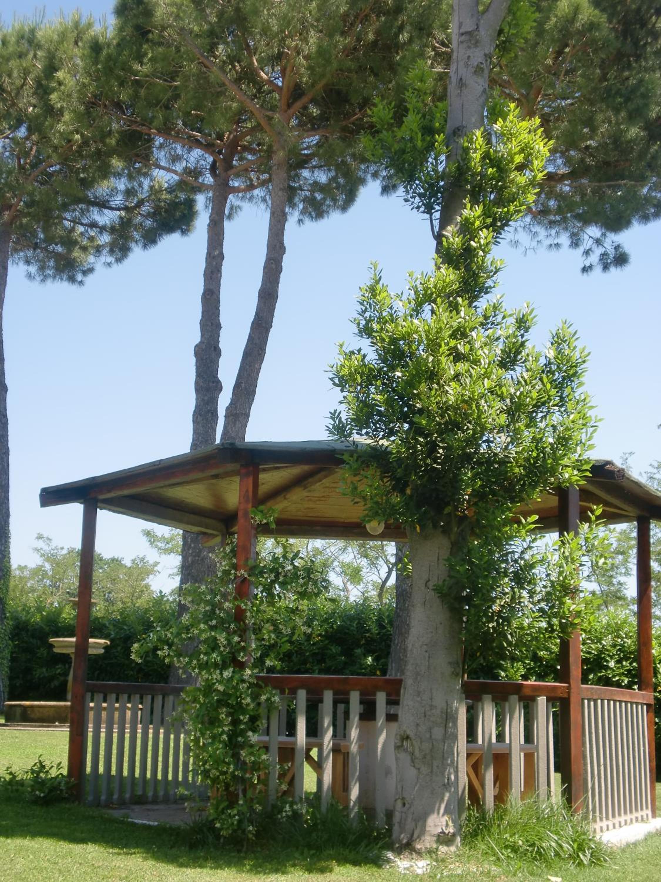 Casina Pian Di Monetto photo 5