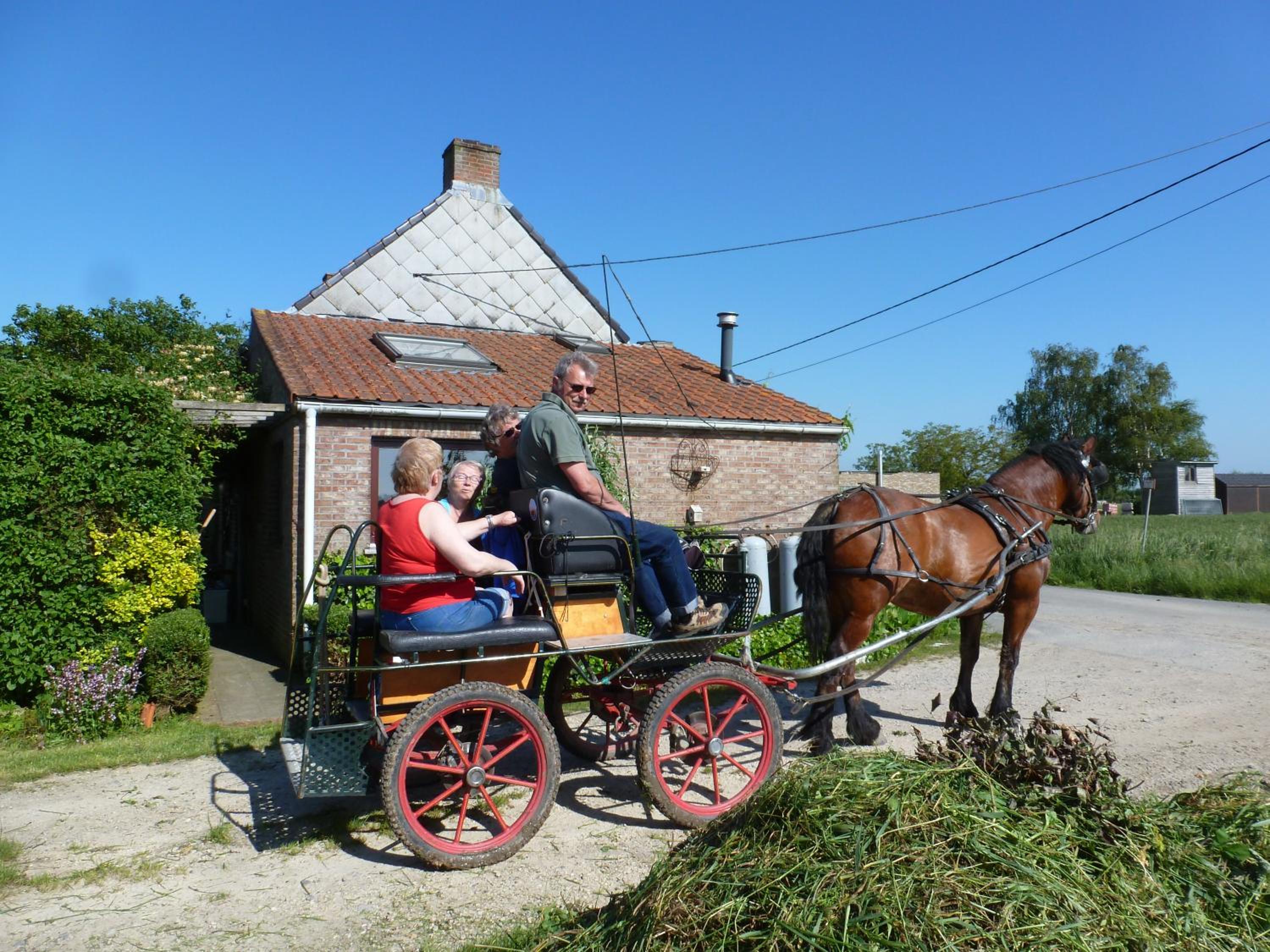 Guesthouse Kolibriehuys