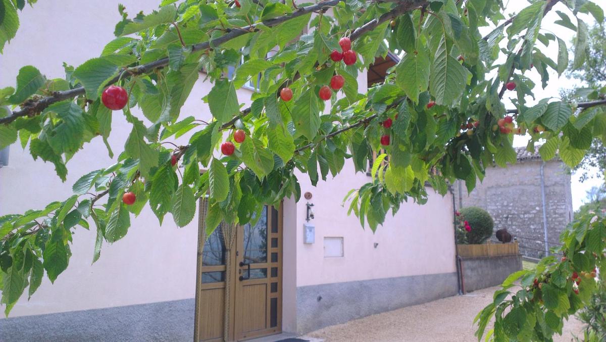 Photo 23