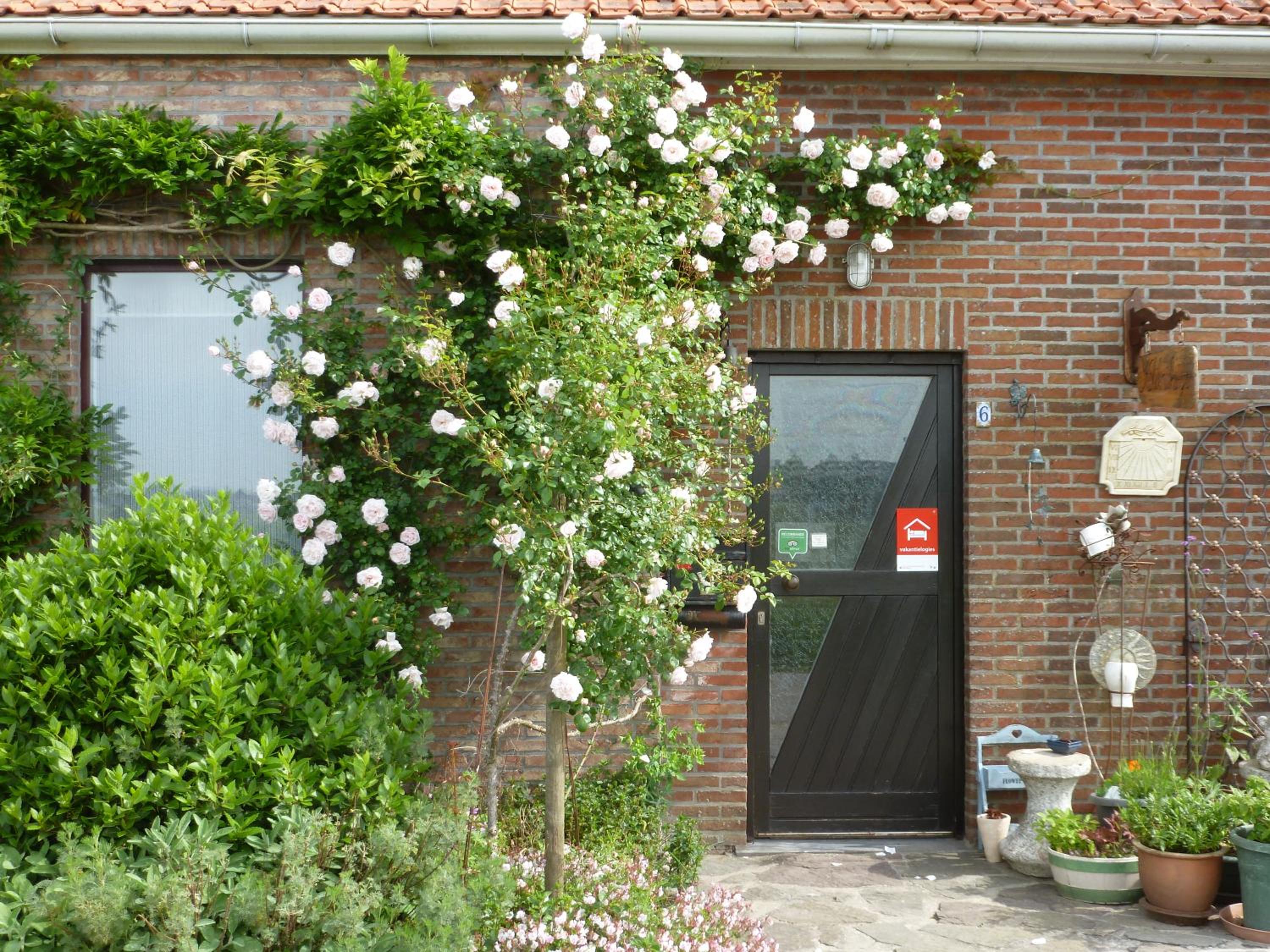 Guesthouse Kolibriehuys