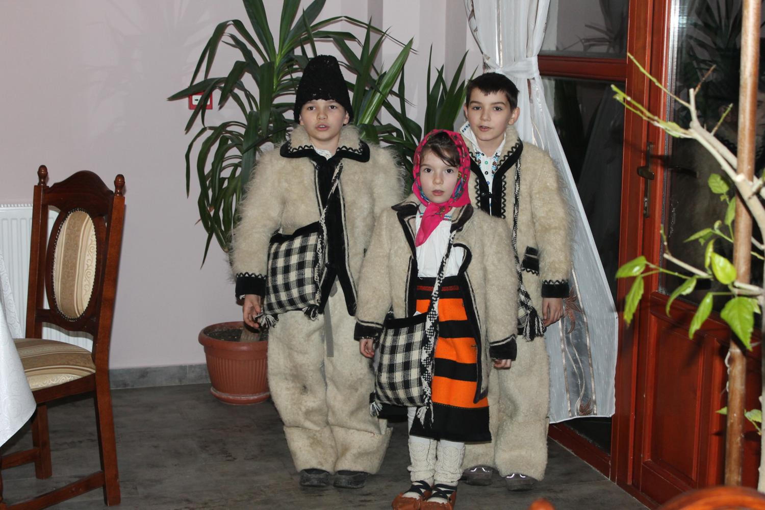 Photo 48