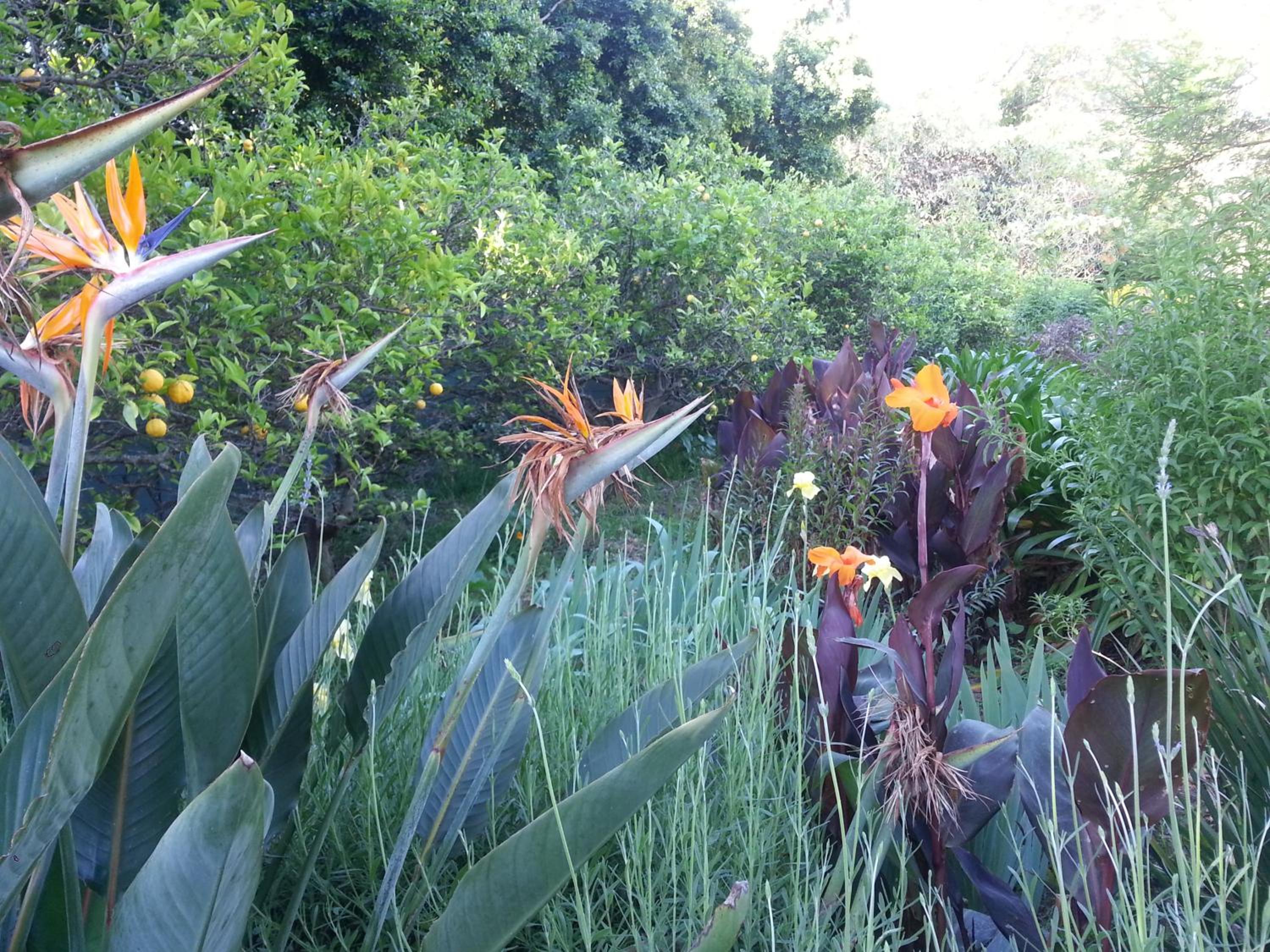 Photo 44