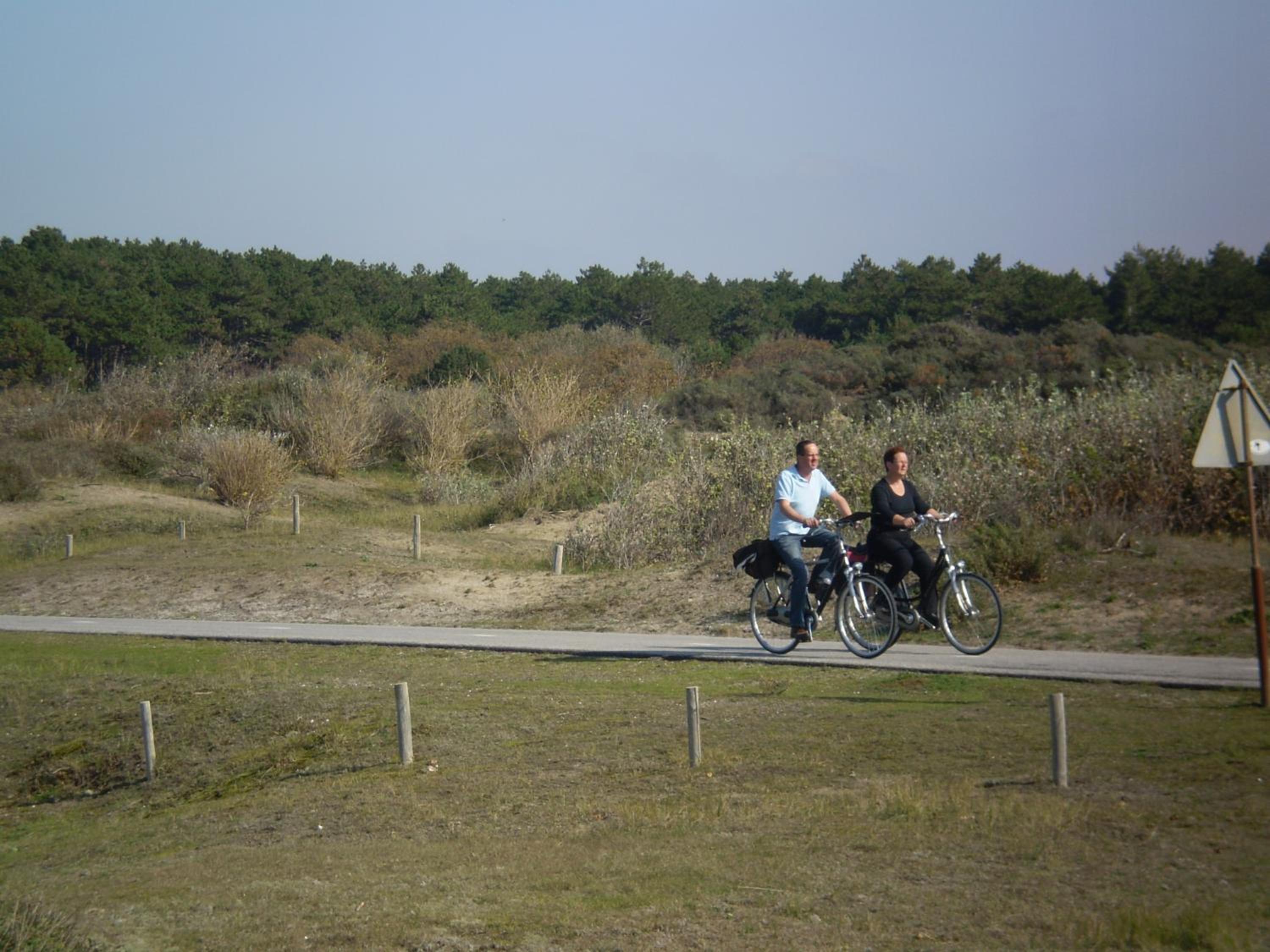 Photo 25