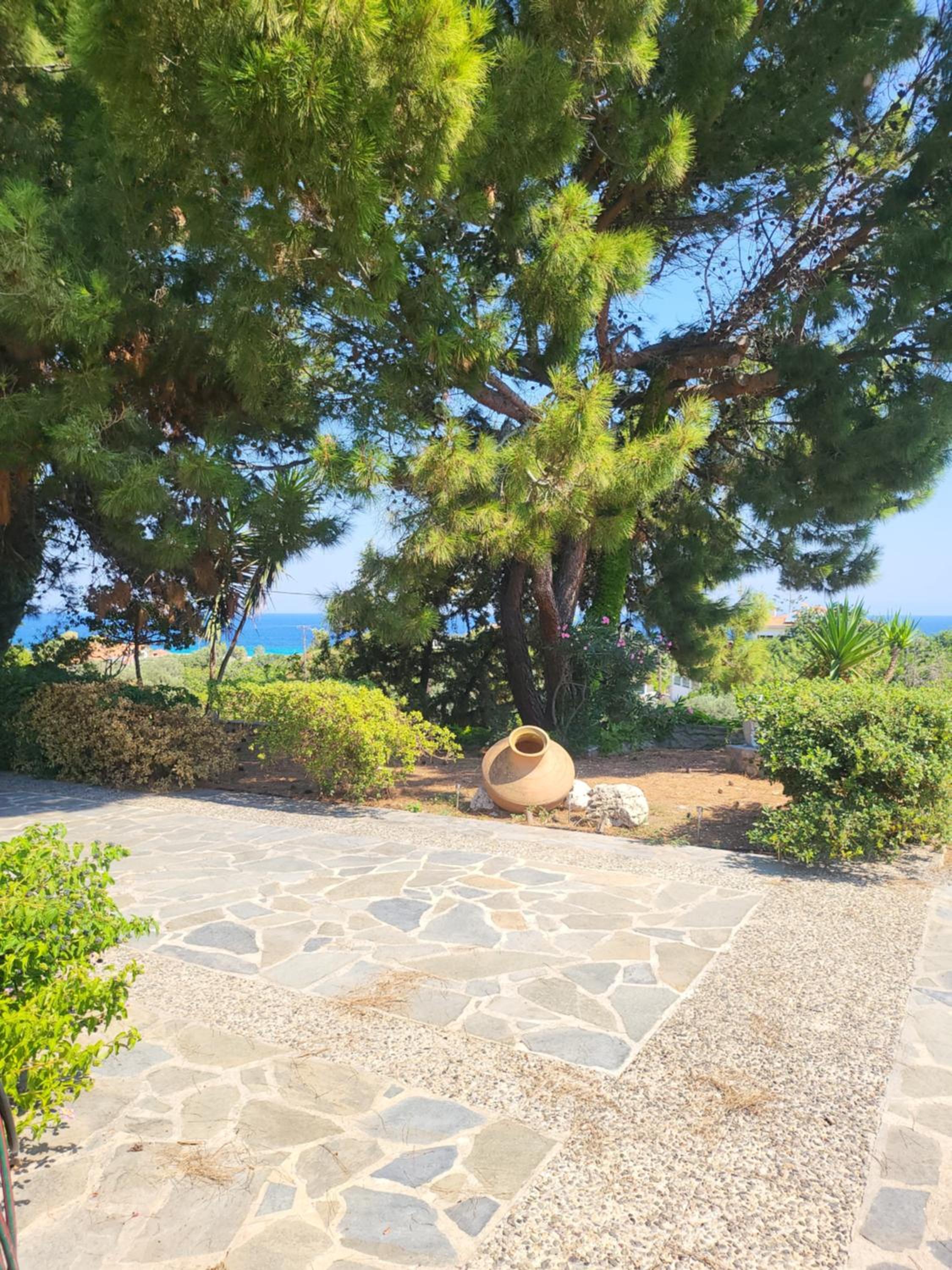 Alexia's resorts