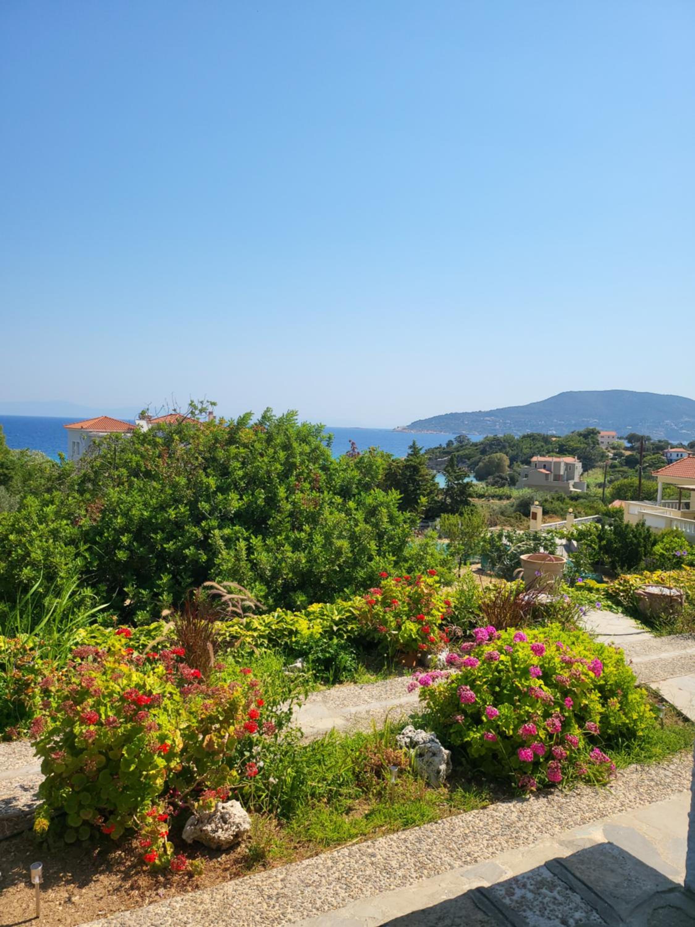Alexia's resorts