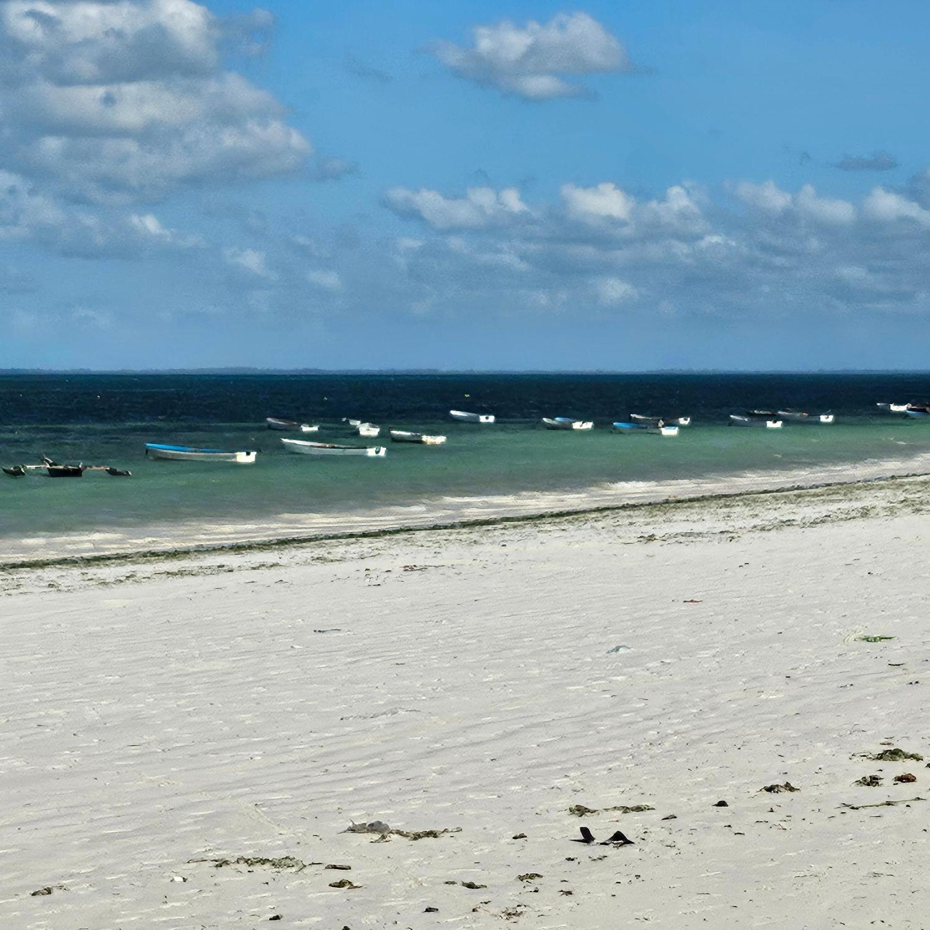 Beachfront 2BR Apartment in Uroa, Zanzibar - Sea Views & Direct Beach Access