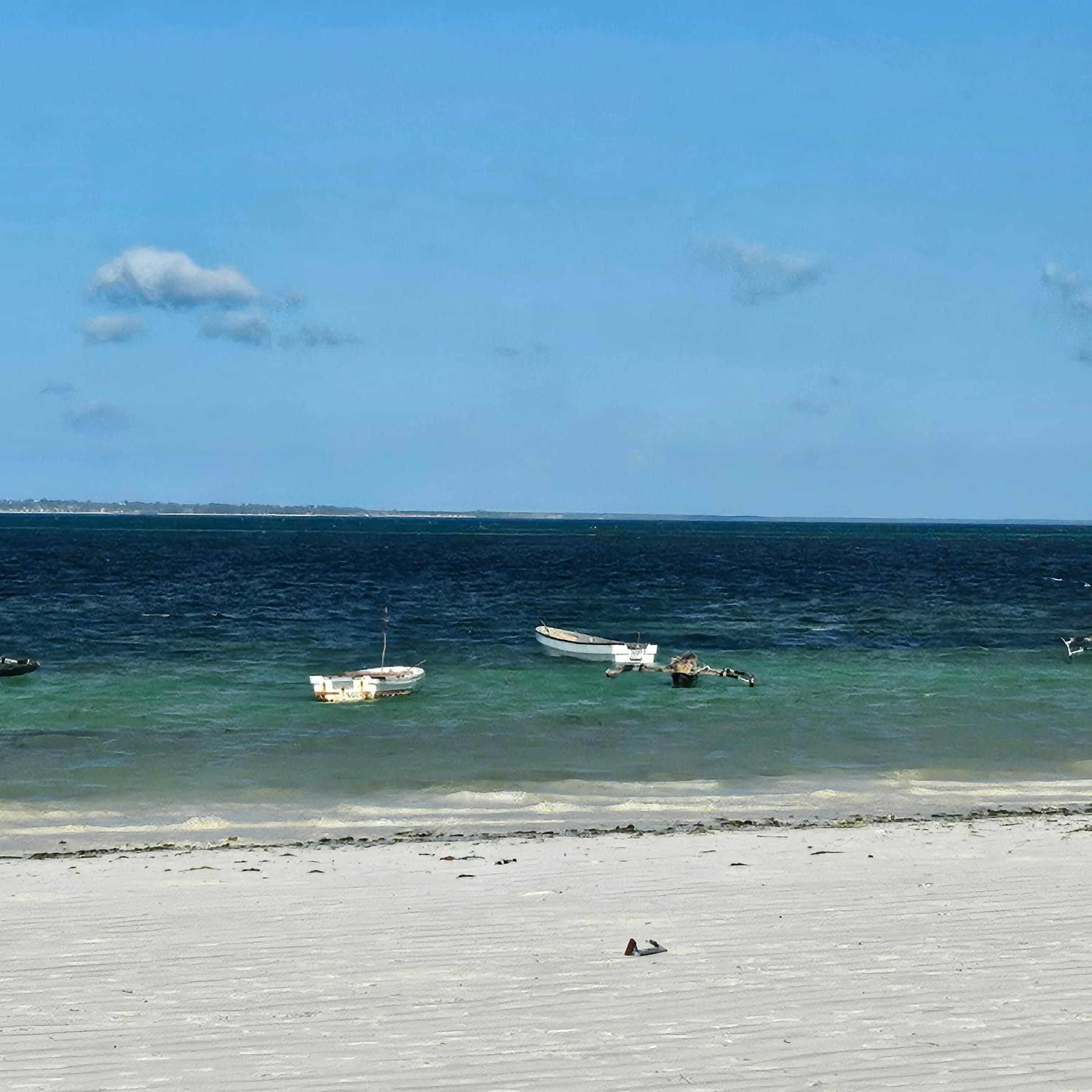 Beachfront 2BR Apartment in Uroa, Zanzibar - Sea Views & Direct Beach Access
