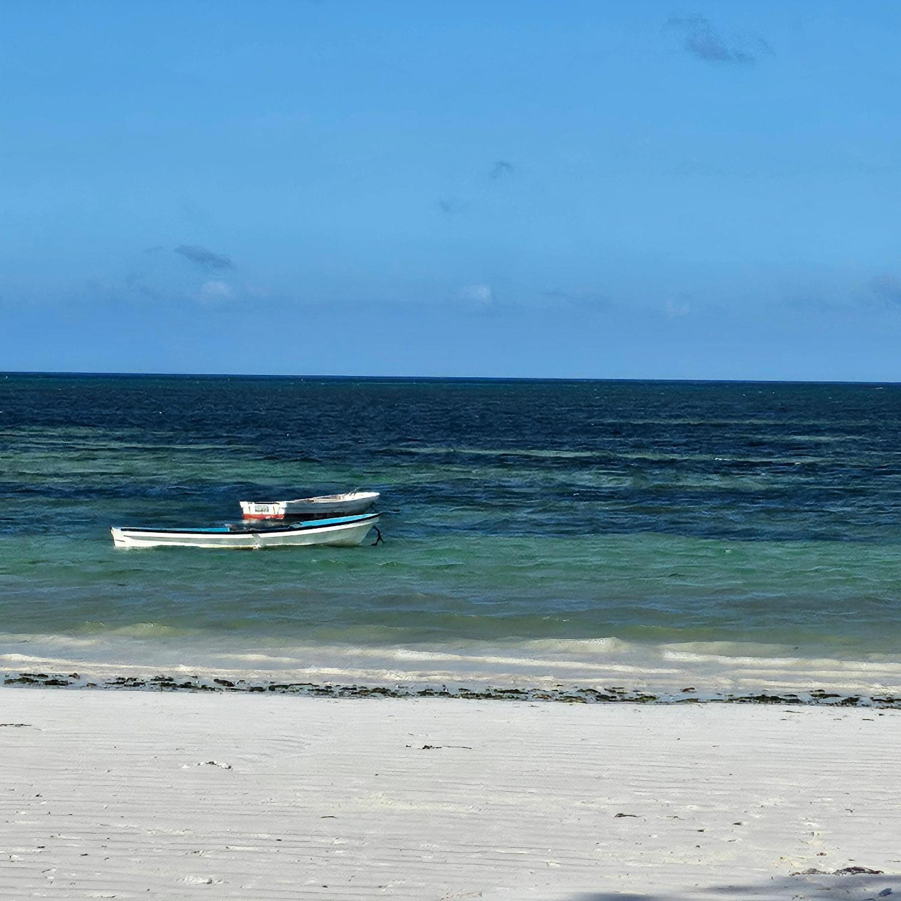 Beachfront 2BR Apartment in Uroa, Zanzibar - Sea Views & Direct Beach Access