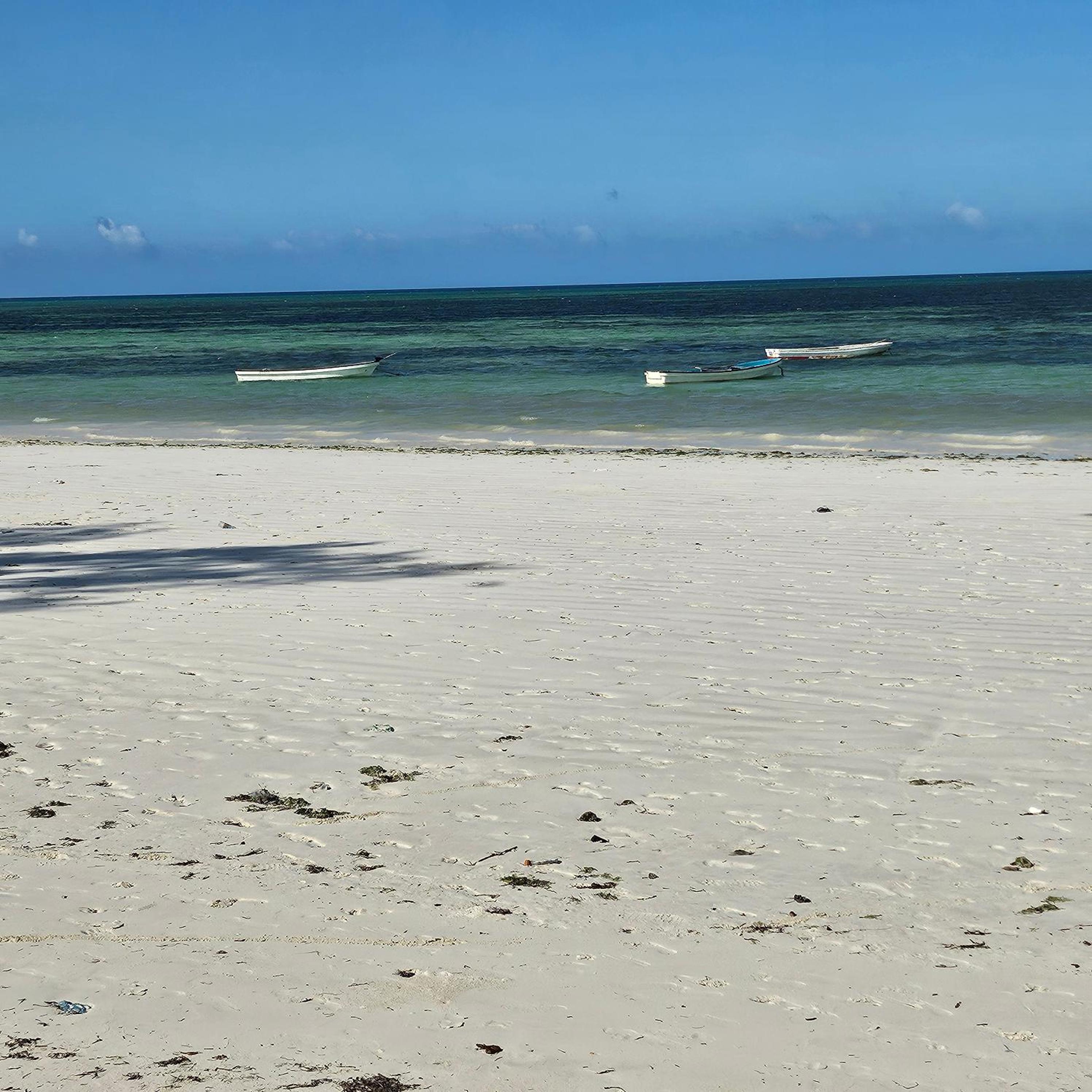 Beachfront 2BR Apartment in Uroa, Zanzibar - Sea Views & Direct Beach Access