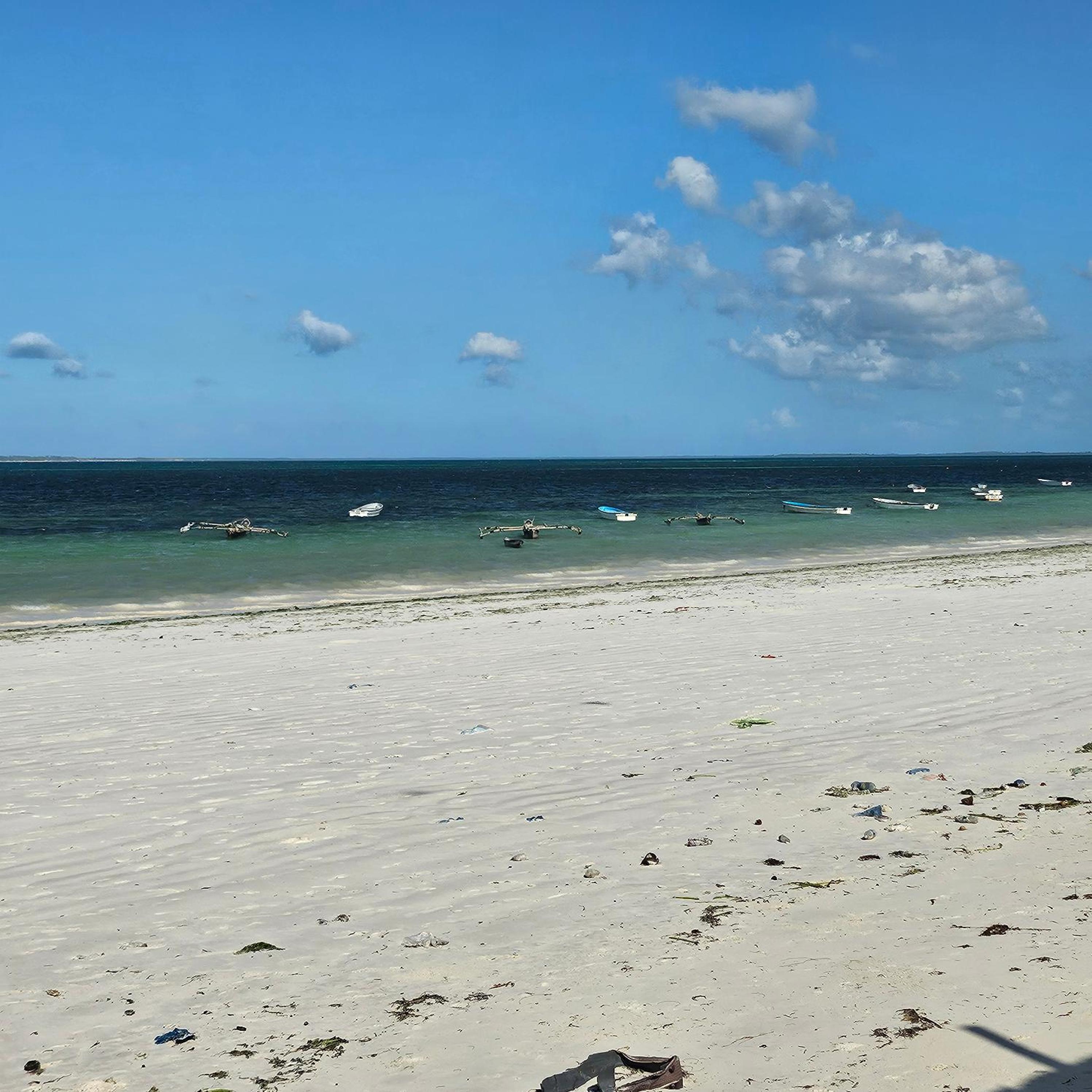 Beachfront 2BR Apartment in Uroa, Zanzibar - Sea Views & Direct Beach Access
