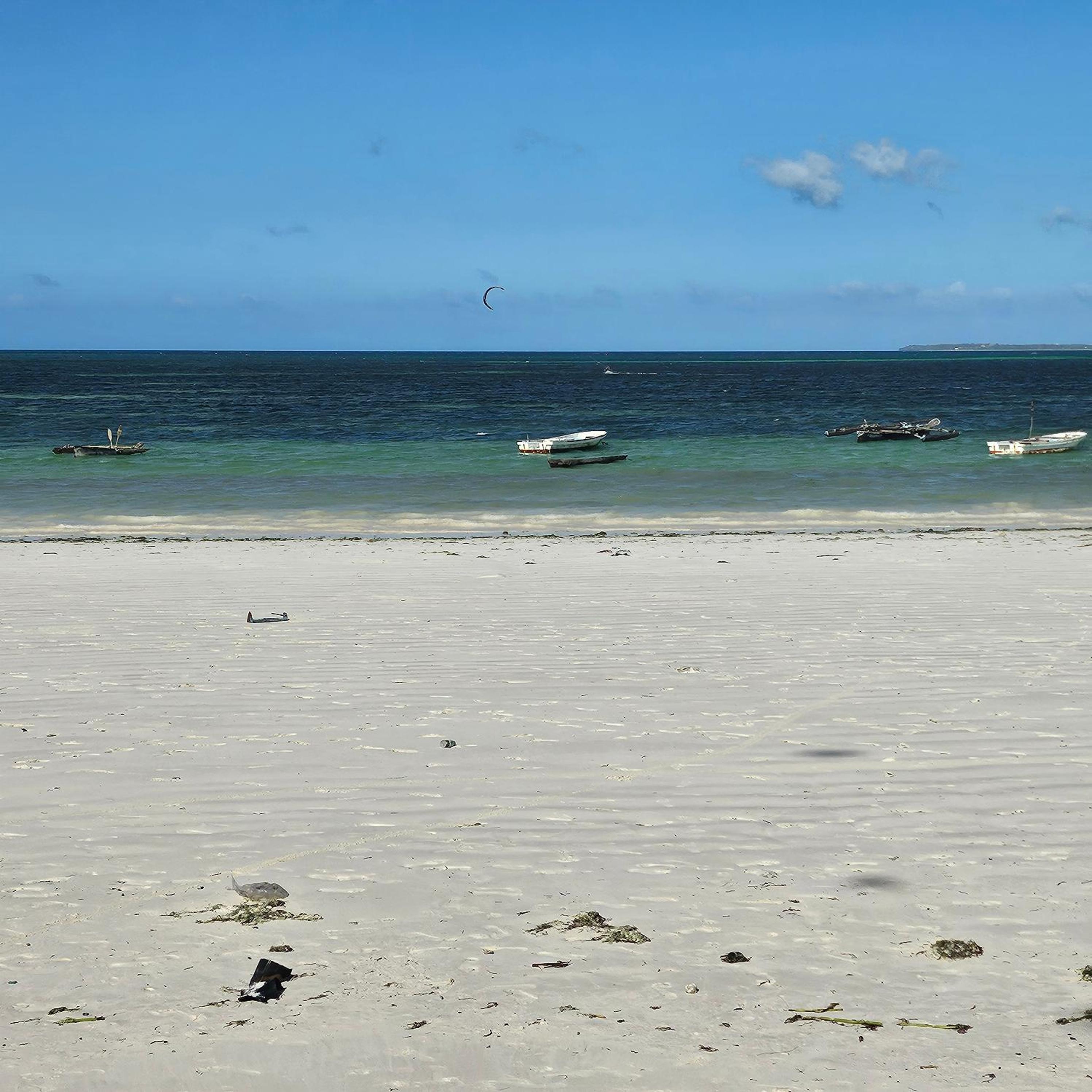 Beachfront 2BR Apartment in Uroa, Zanzibar - Sea Views & Direct Beach Access