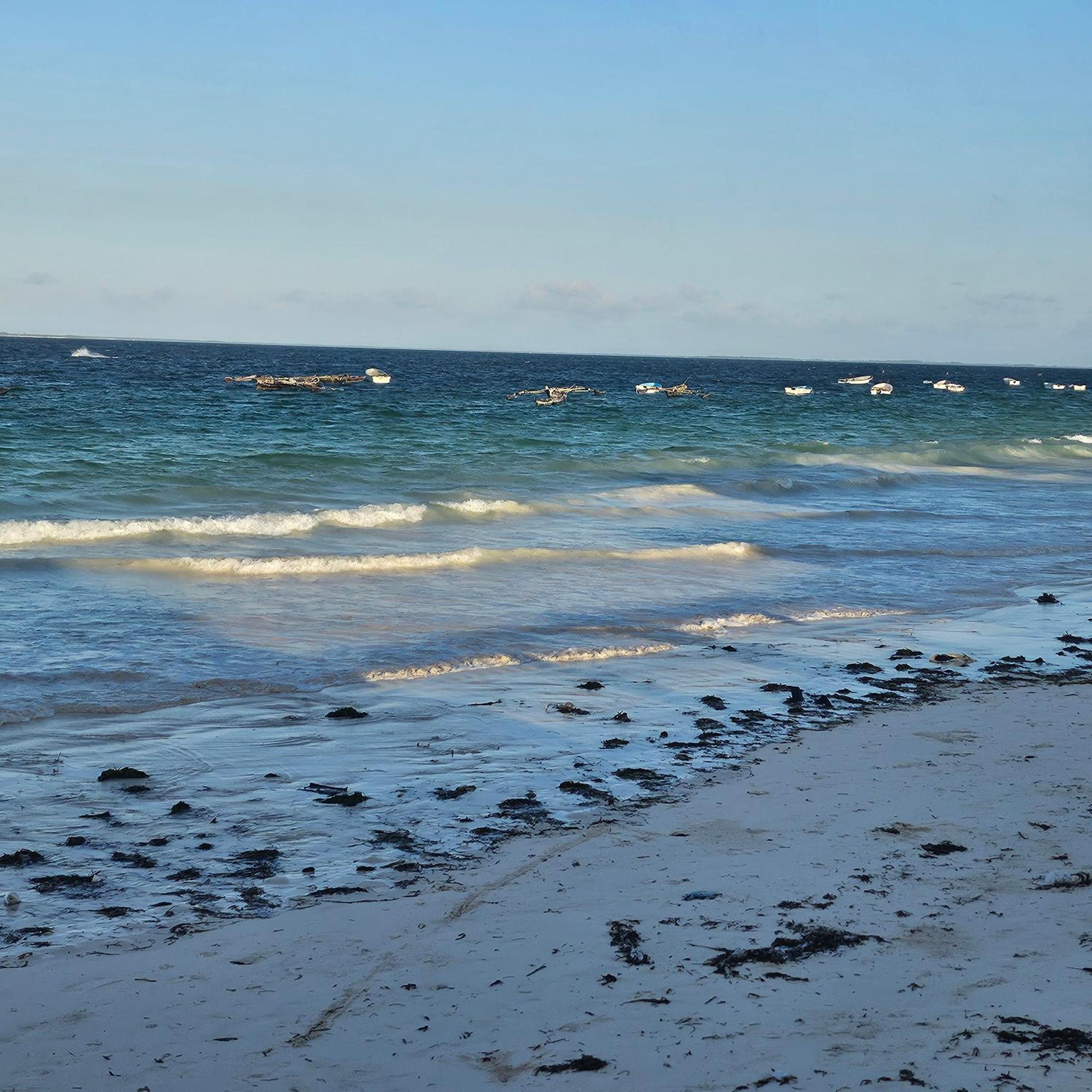 Beachfront 2BR Apartment in Uroa, Zanzibar - Sea Views & Direct Beach Access