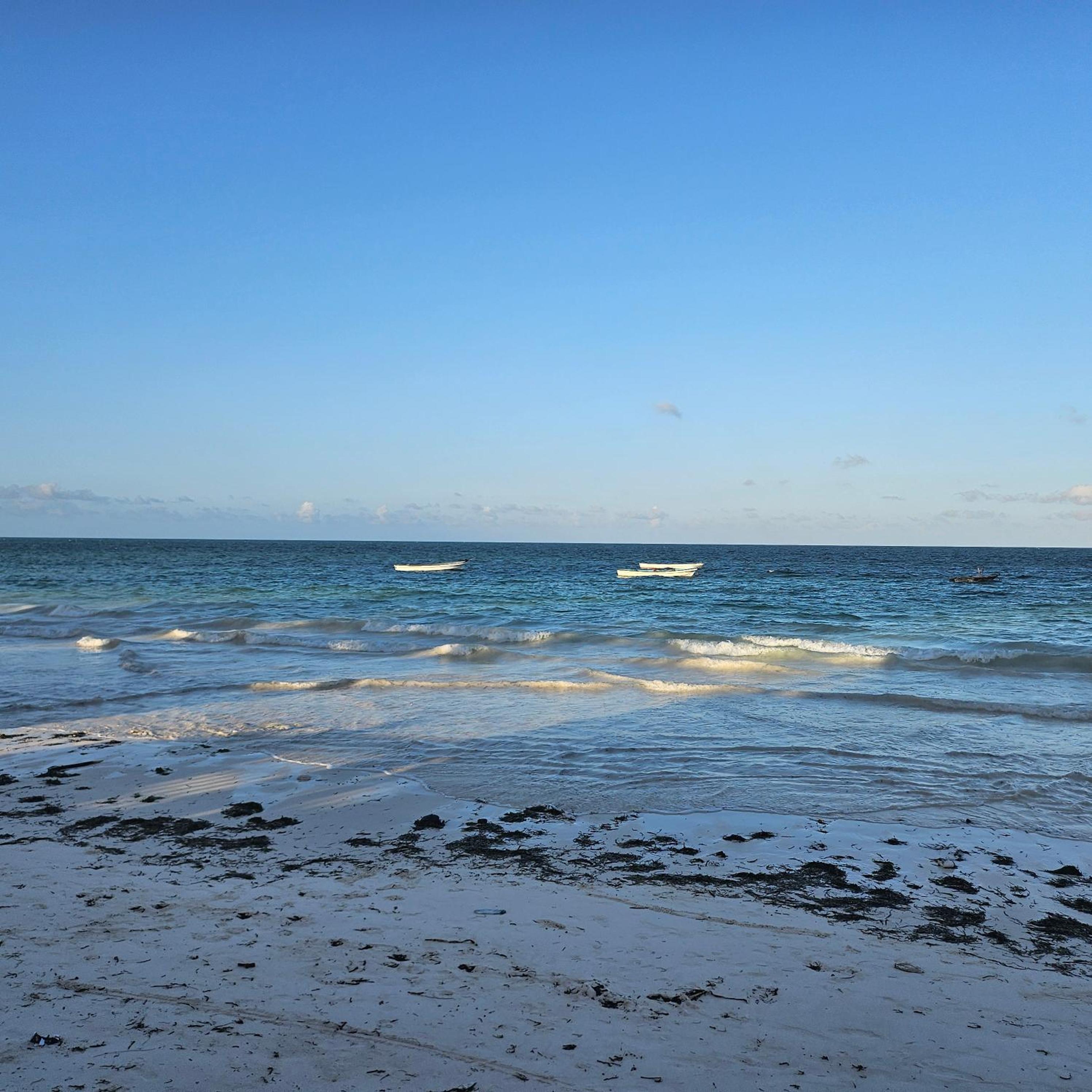 Beachfront 2BR Apartment in Uroa, Zanzibar - Sea Views & Direct Beach Access