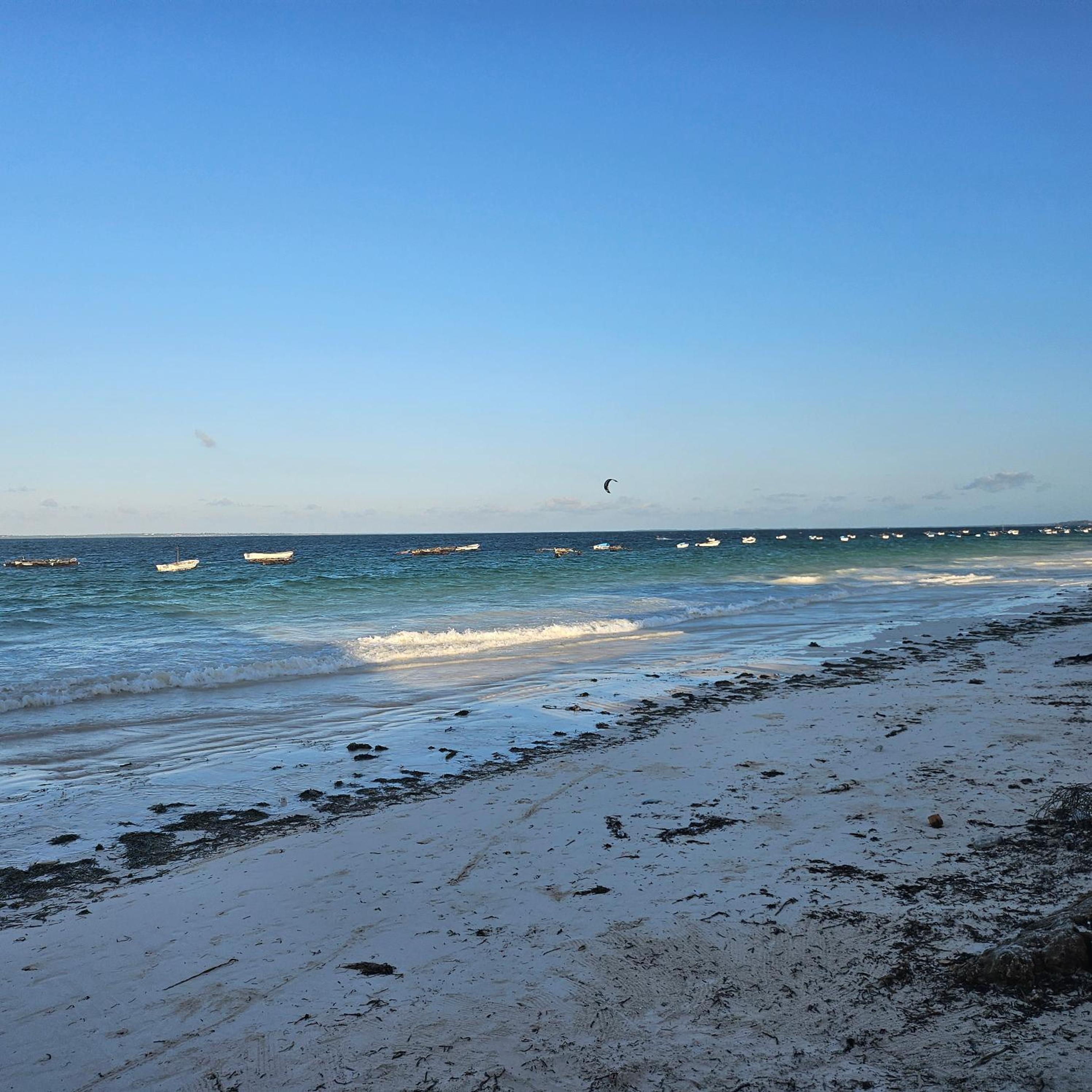 Beachfront 2BR Apartment in Uroa, Zanzibar - Sea Views & Direct Beach Access